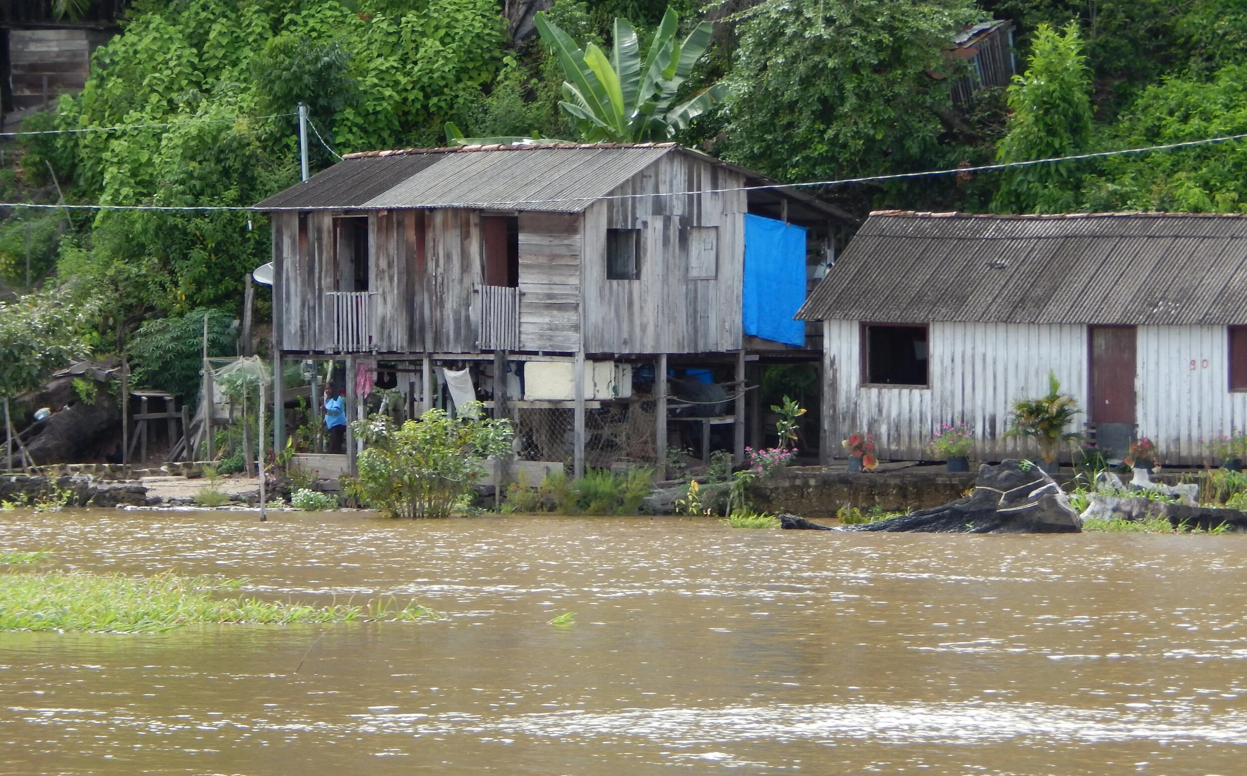 Aumento de casos da Covid-19 na várzea preocupa Colônia de Pescadores e entidades de pesquisa