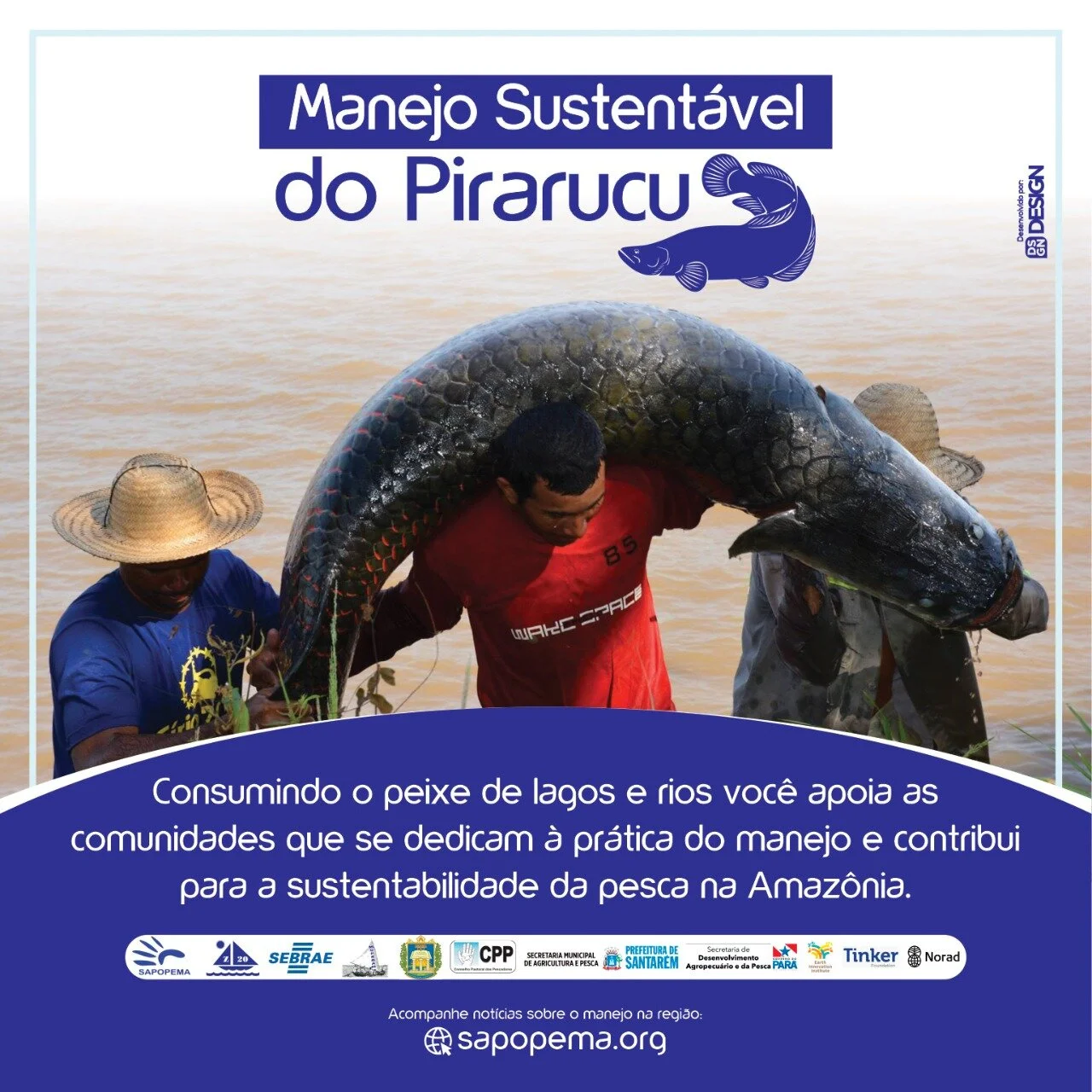 WhatsApp Image 2020-09-04 at 18.53.51.jpeg