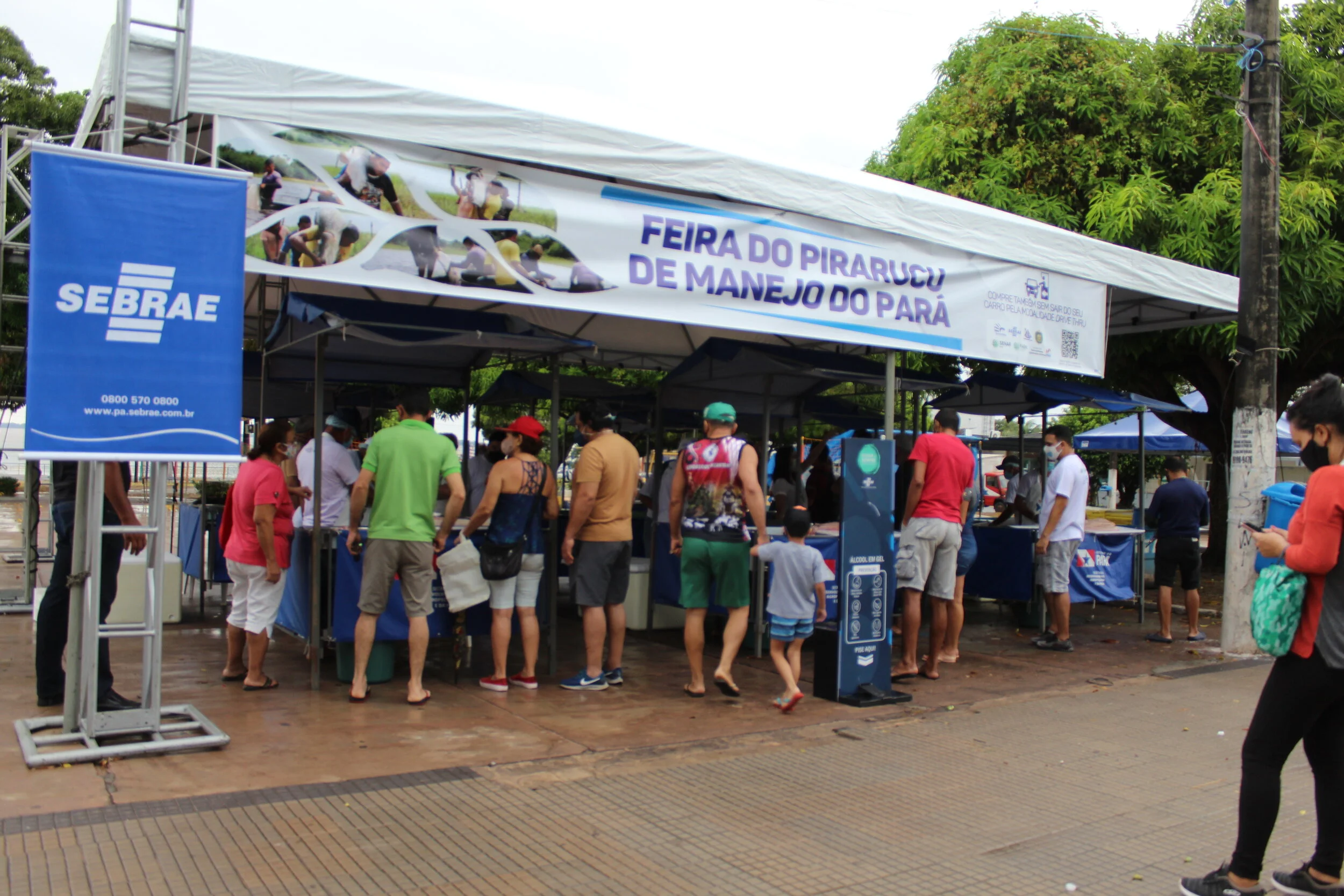 Assista vídeo da 1ª Feira do pirarucu de manejo do Pará