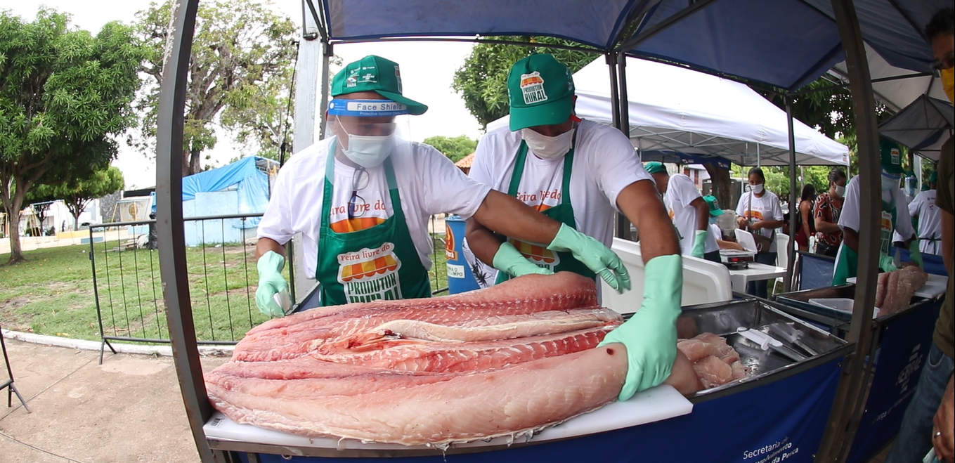 Vídeo oficial: II Feira do Pirarucu de Manejo do Pará