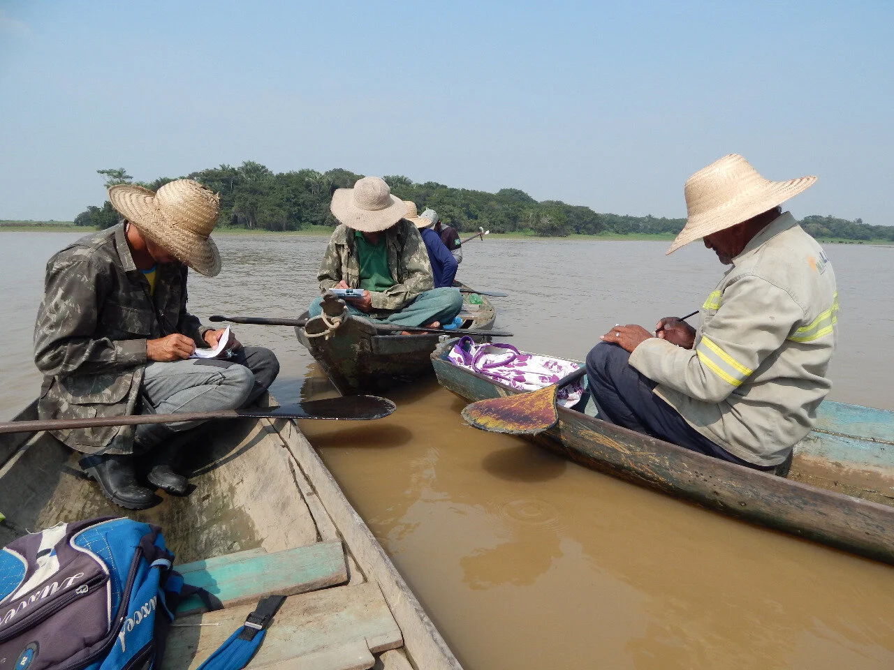 Pescadores iniciam contagens de pirarucu em lagos de Santarém e Alenquer&nbsp;