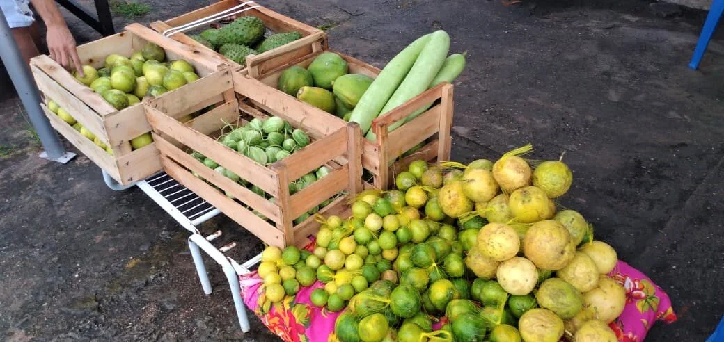 Feira metropolitana da agricultura familiar será realizada no próximo sábado (24) em Santarém