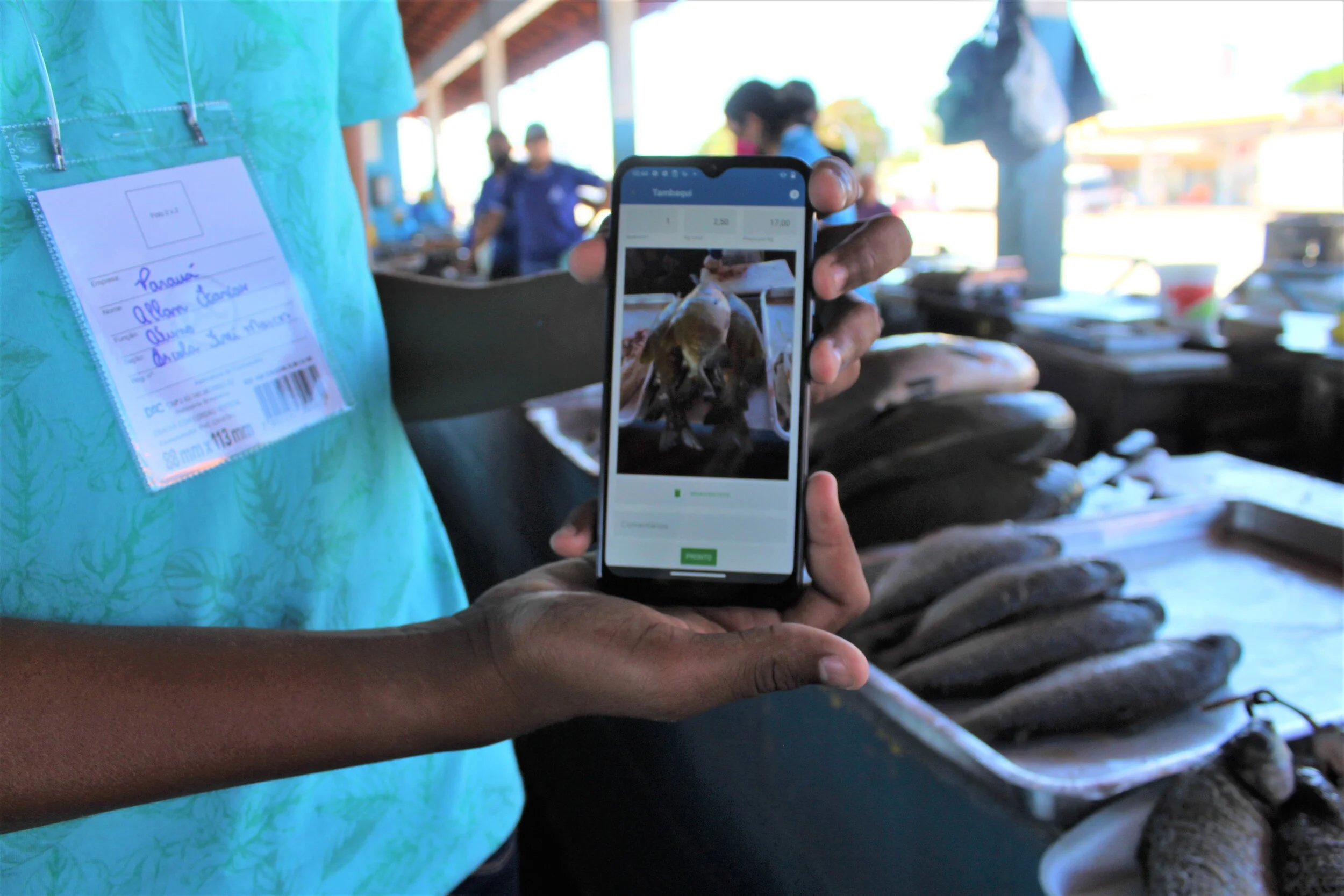 Estudantes de escolas do Tapajós iniciam monitoramento de migração de peixes com App Ictio&nbsp;
