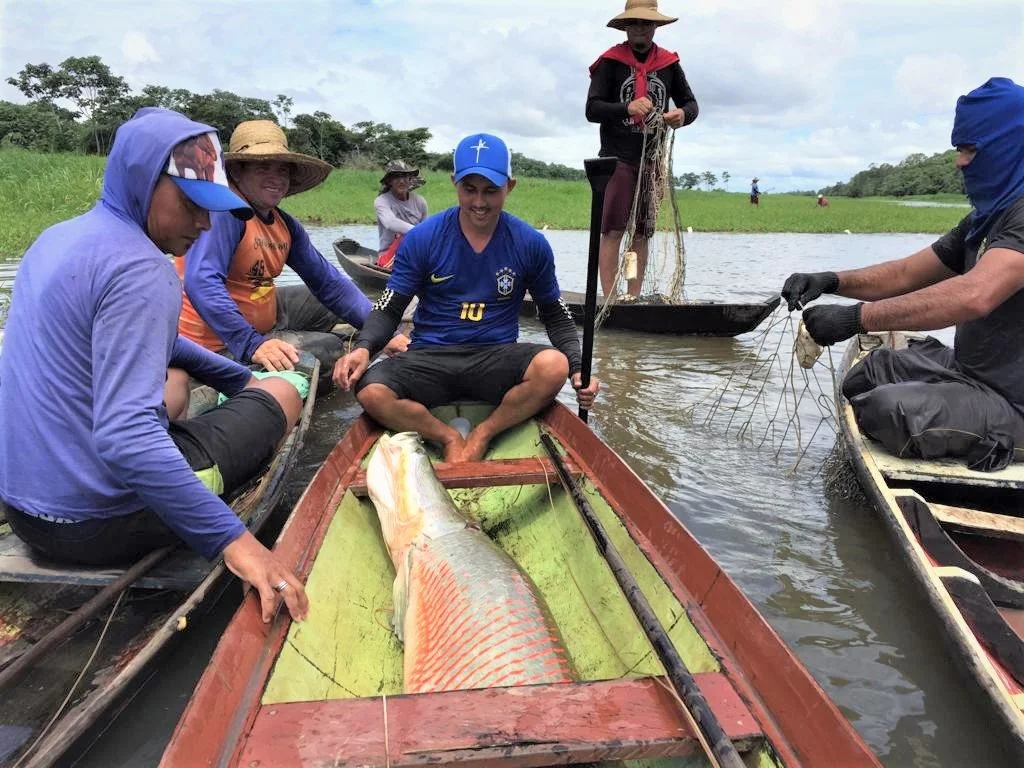 Manejadores realizam pesca coletiva de mais de 1 ton de pirarucu em Pixuna do Tapará&nbsp;