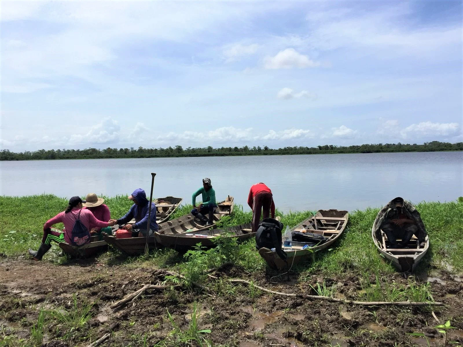 Santa Maria do Tapará comemora duas décadas de monitoramento populacional de pirarucus com contagem anual 