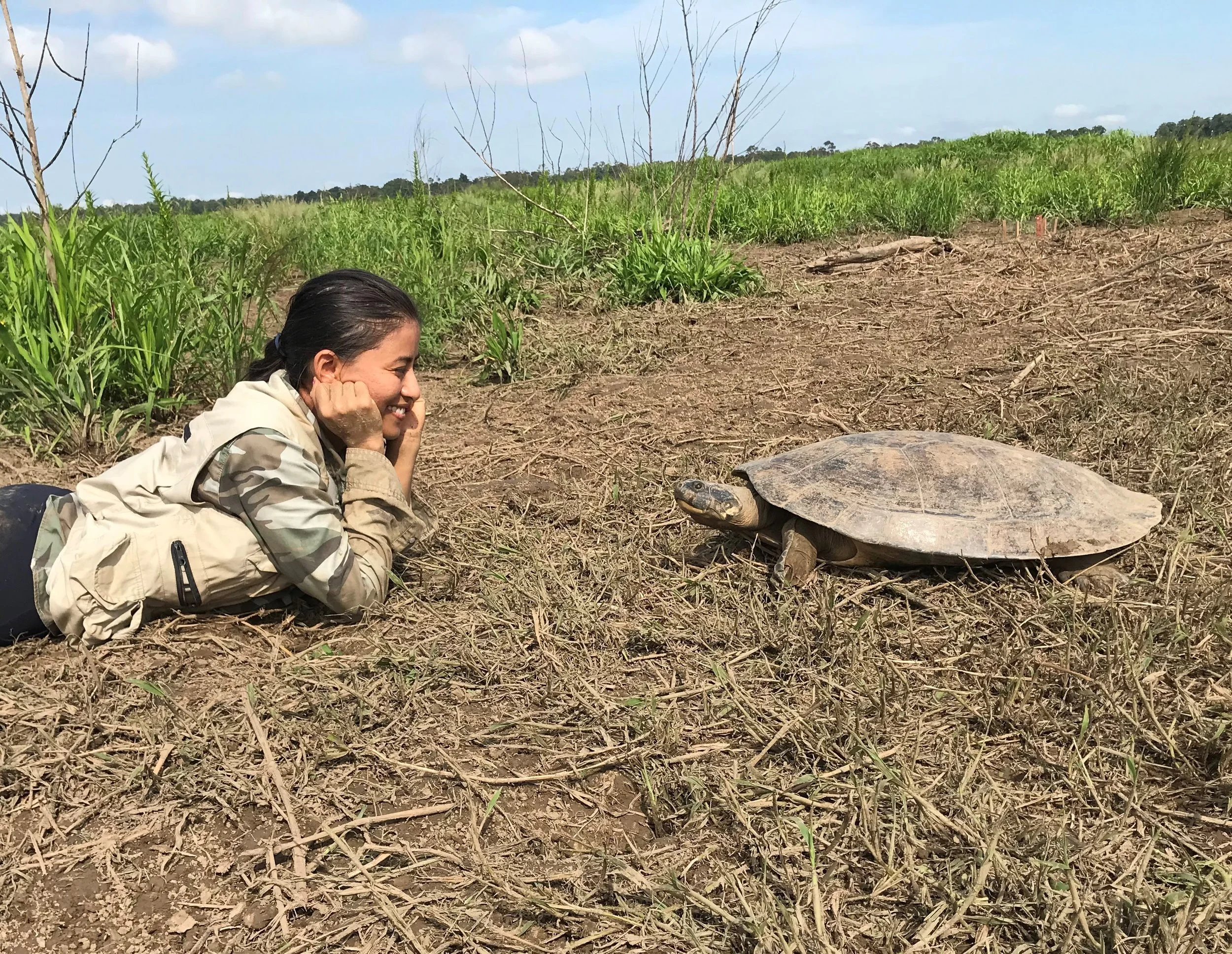 Manejo de quelônios em Ilha do Meio, entre Curuá e Alenquer no PA é estudado por pesquisadora