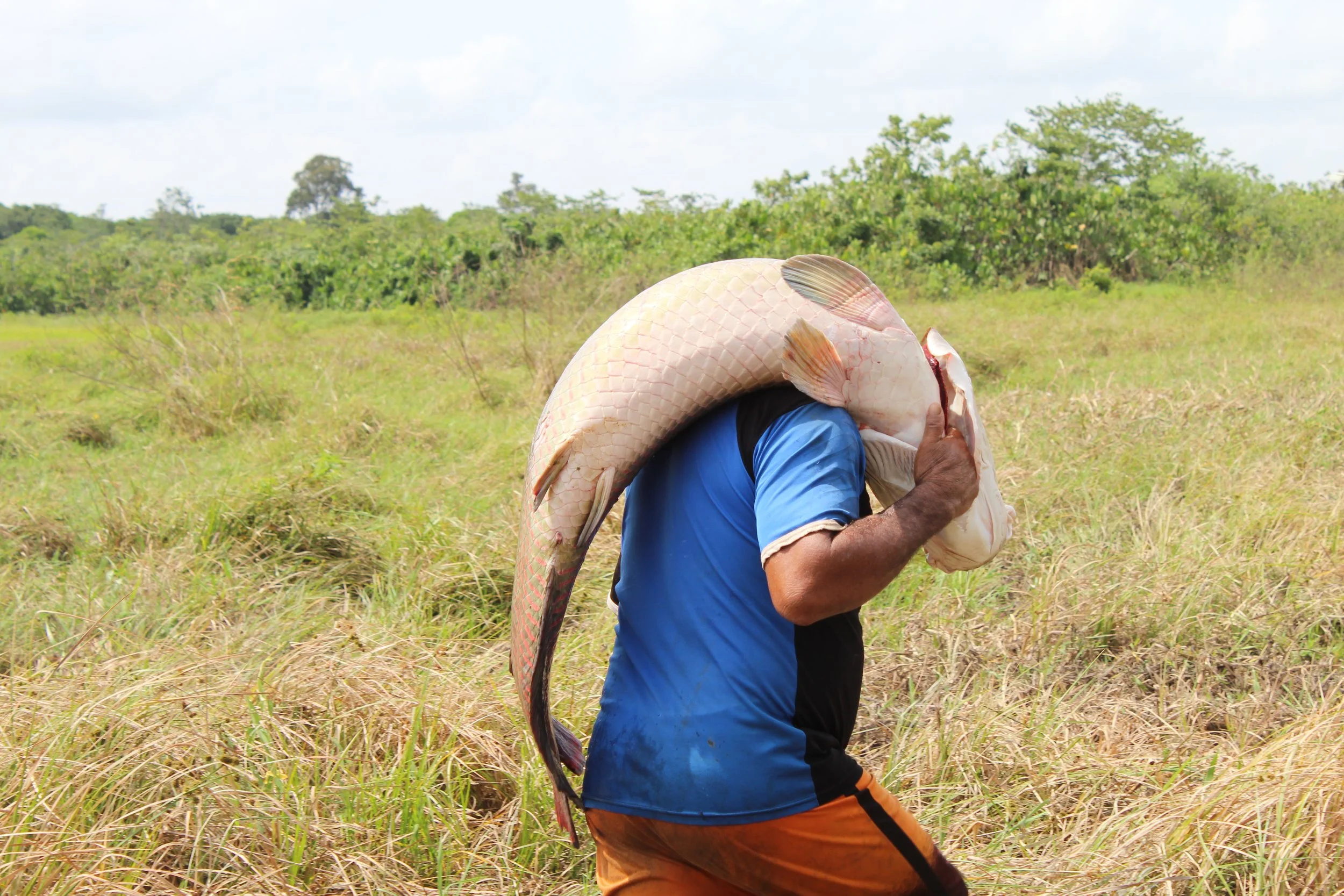 Sapopema integra GT do Plano Estadual de Bioeconomia&nbsp;