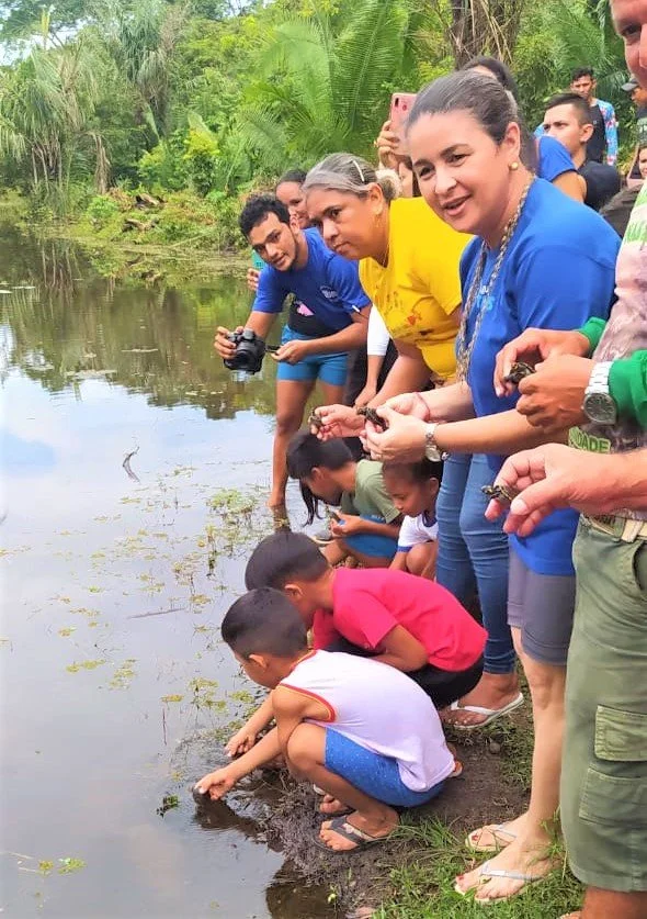 Correio do Tapará realiza soltura de mais de quinhentos quelônios no Pa
