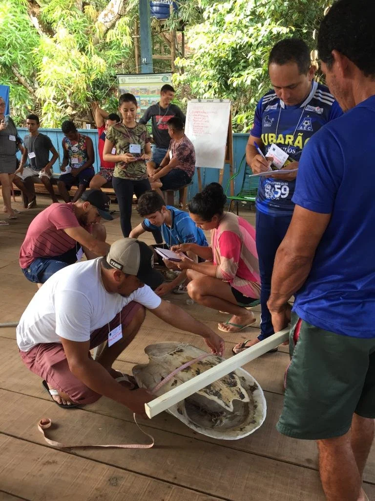 Curso de monitoria e manejo de quelônios aquáticos Amazônicos é realizado em Monte Cristo, no Tapajós