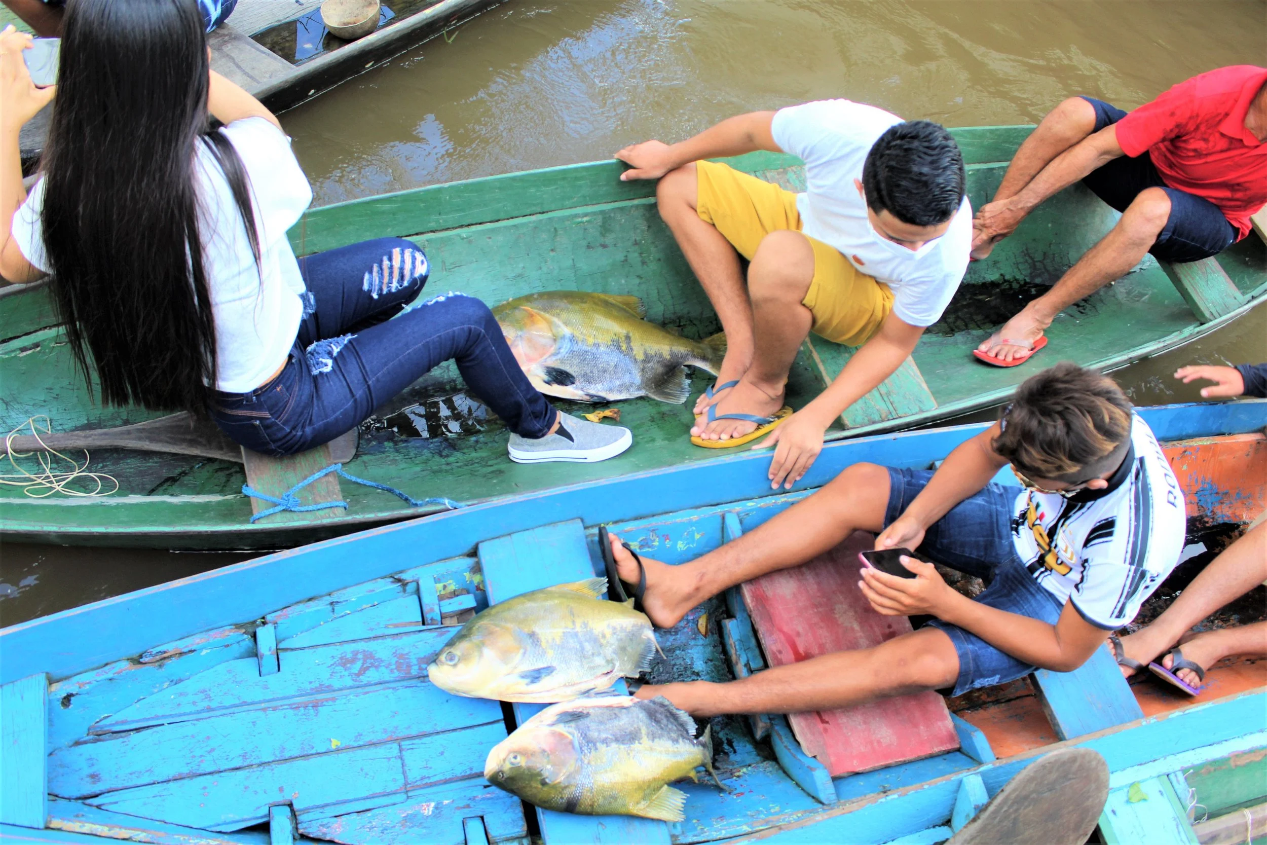 Abertas inscrições para evento que discute iniciativas sustentáveis na Amazônia 