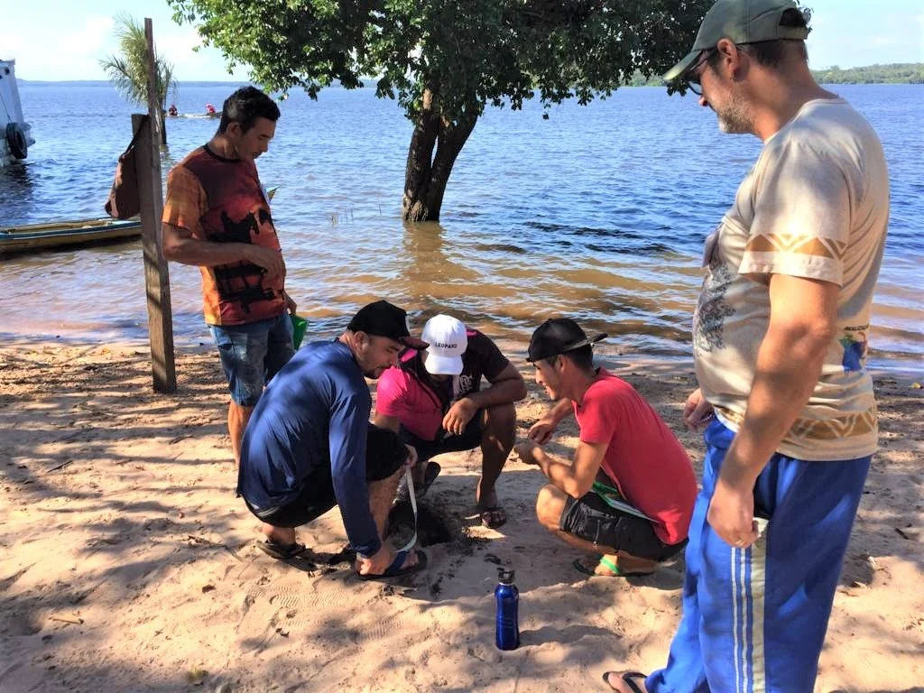 Coletores participam de curso em monitoria e manejo de quelônios em Correio do Tapará&nbsp;