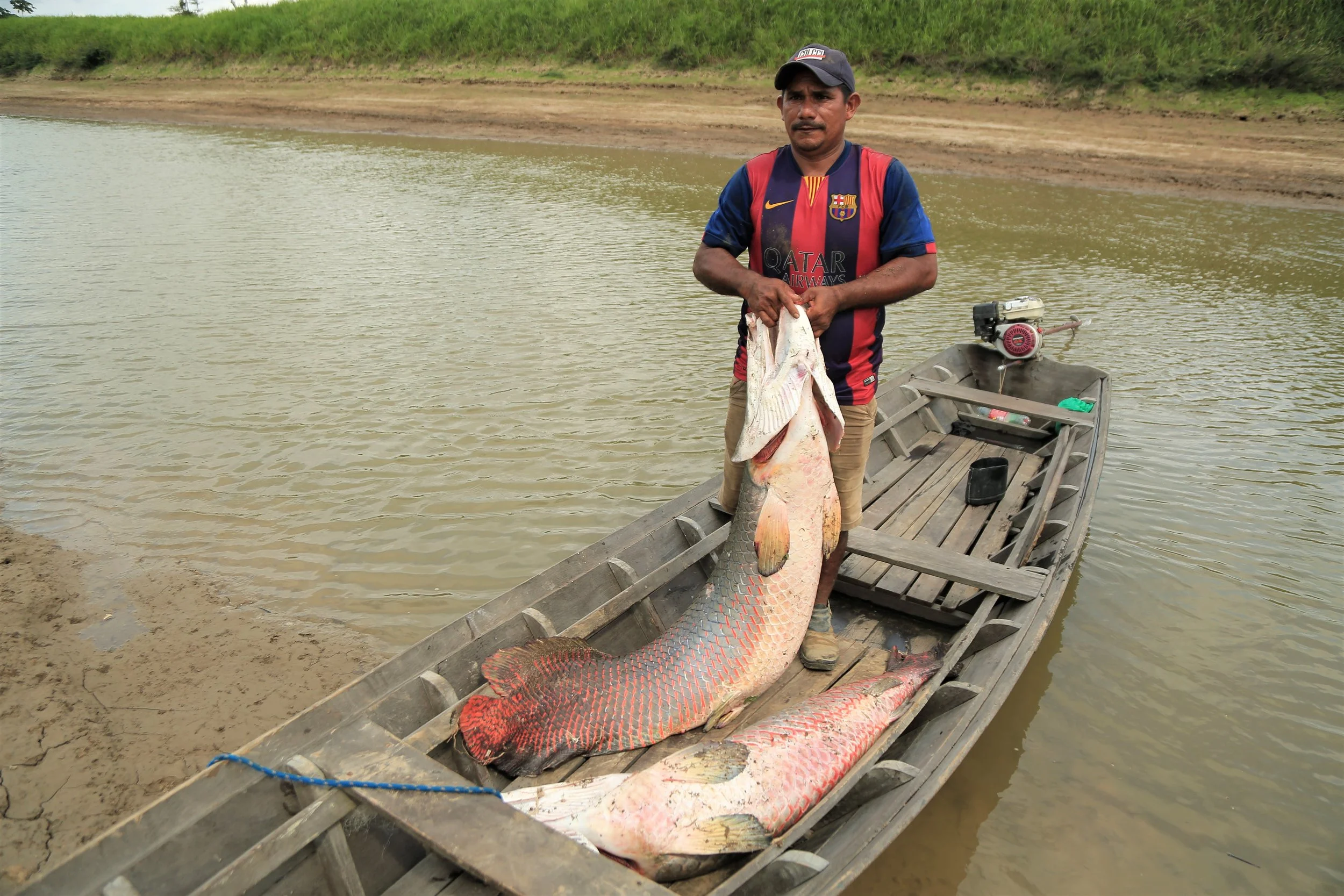 Manejadores iniciam pesca coletiva para 3ª Feira do Pirarucu de Santarém&nbsp;