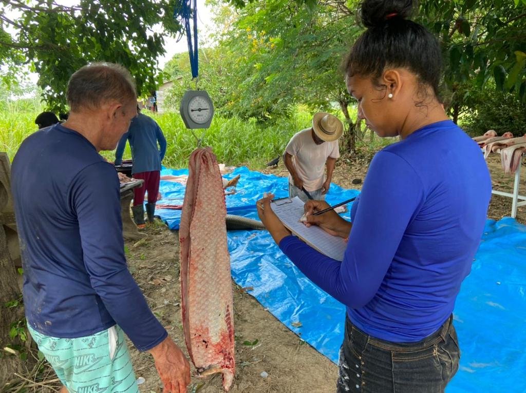 Pesca manejada do pirarucu movimentou mais de 260 mil em quatro comunidades do PAE Tapará em 2022