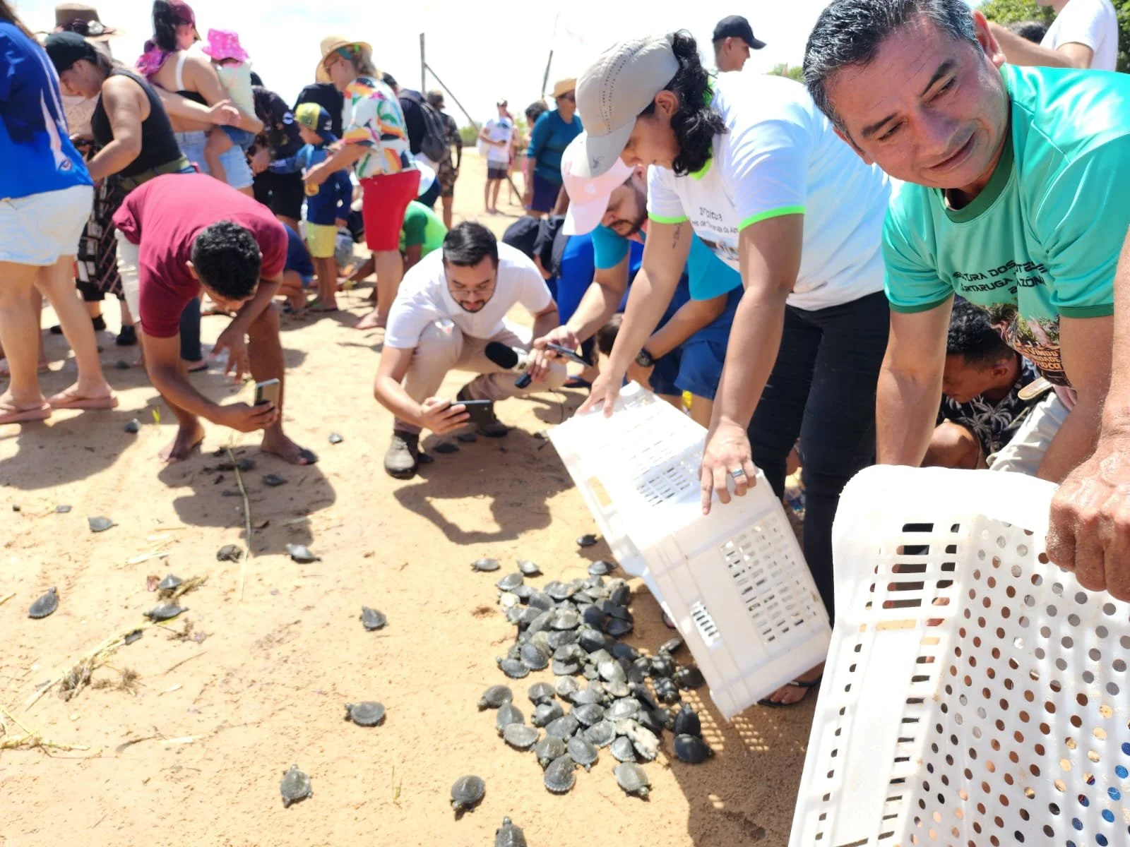 Soltura de Quelônios em Coroca: 1,4 mil Tartarugas devolvidas à natureza