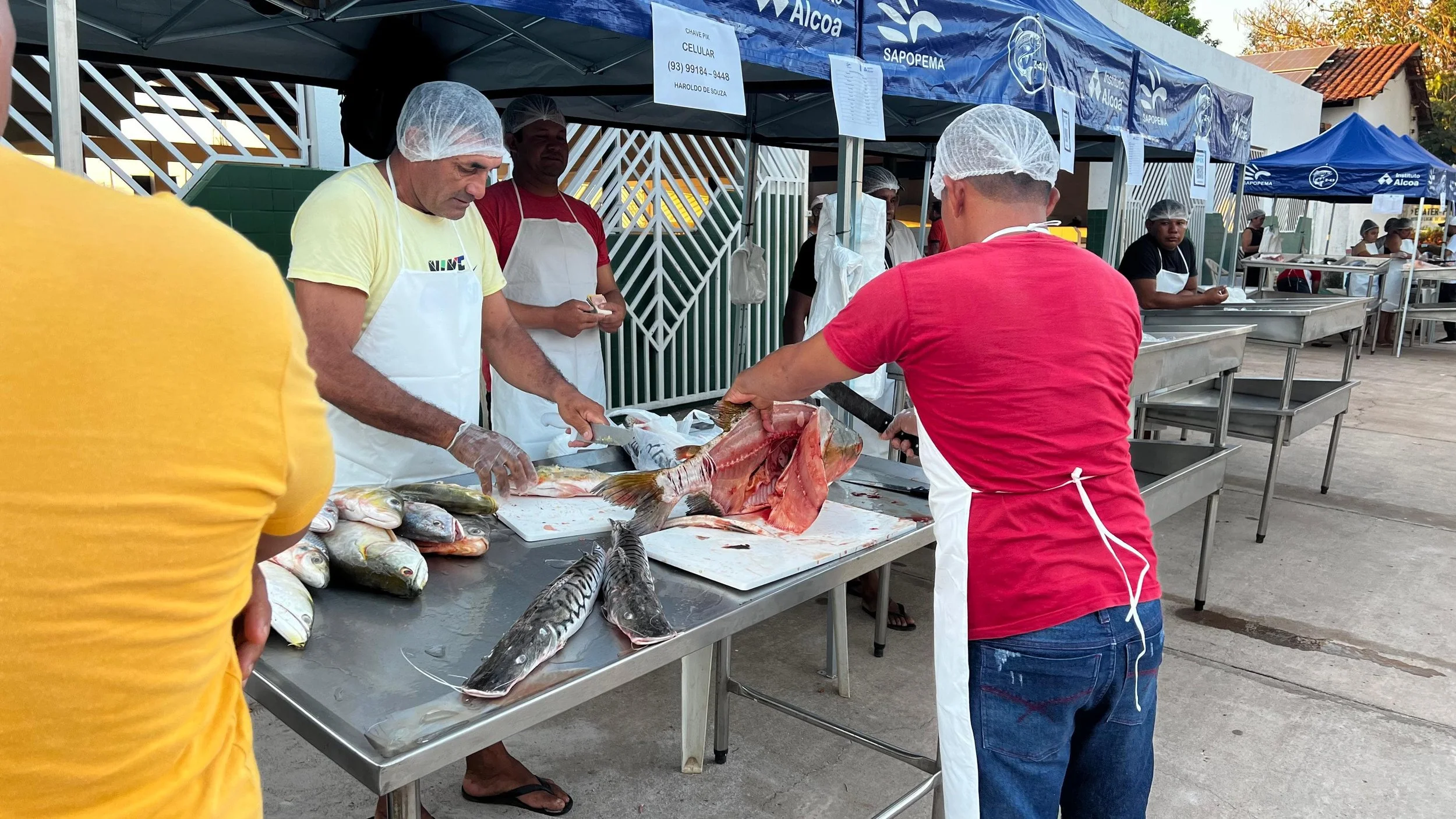 Segunda edição da Feira do Pescado Sustentável de Juruti comercializa trezentos quilos de peixe 