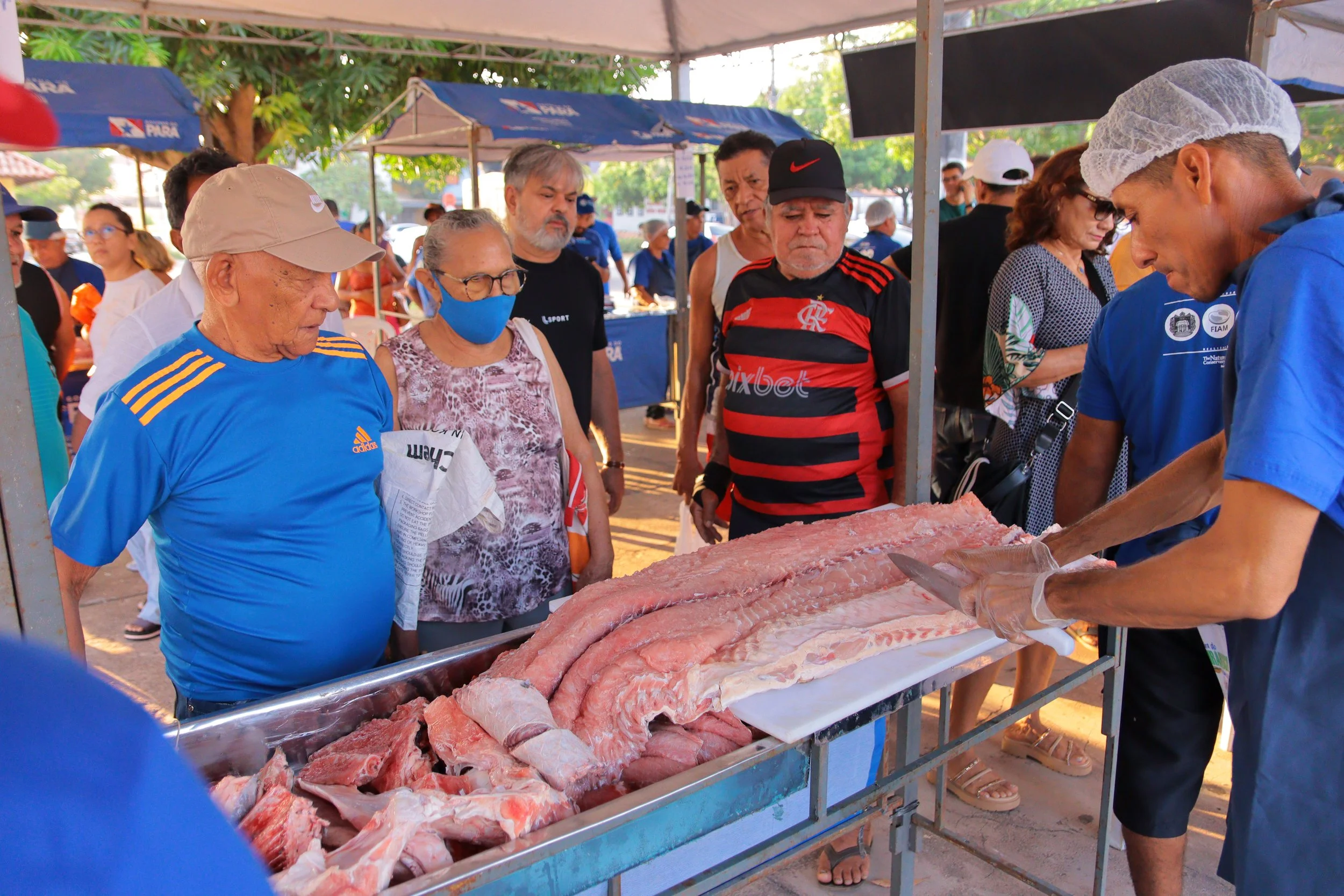 5ª Feira do Pirarucu de Manejo comercializa 1,5t em tempo recorde e celebra valorização da experiência&nbsp;