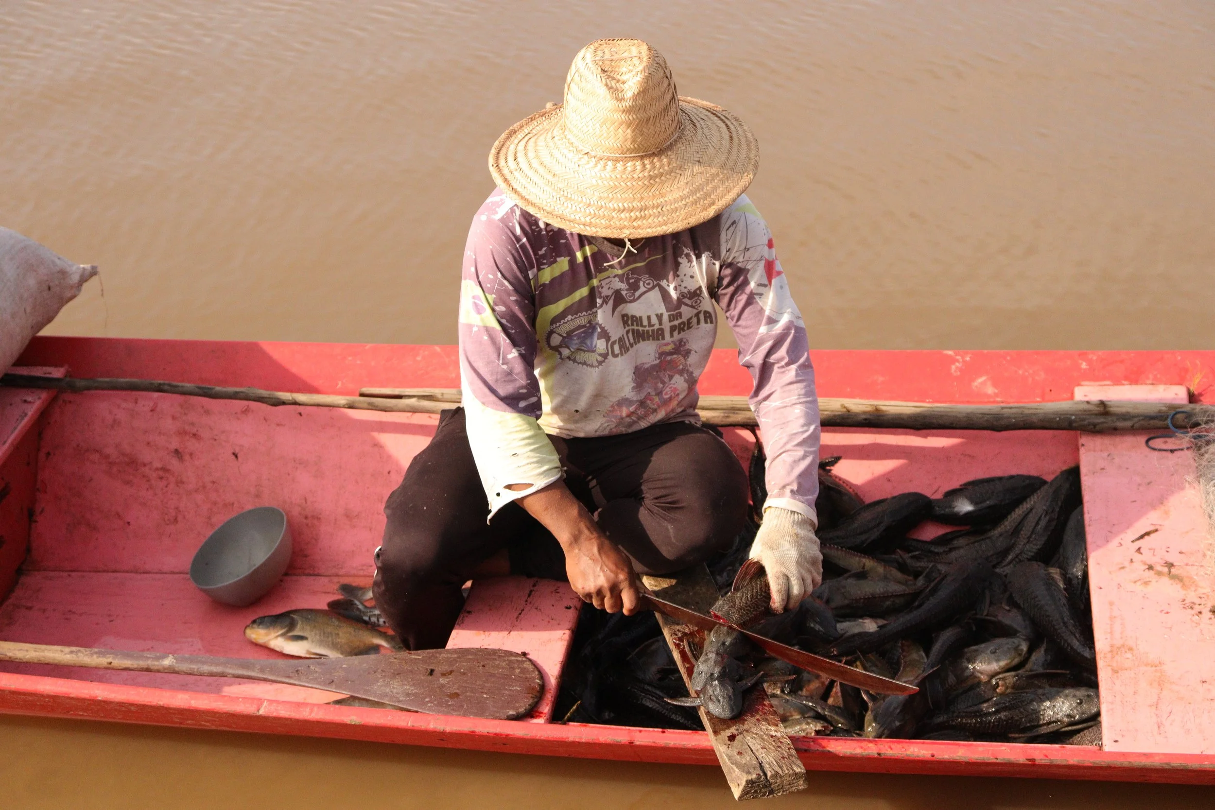 Sapopema realiza expedição para o diagnóstico da pesca do acari e regulamentação do piracuí em Prainha, Pará