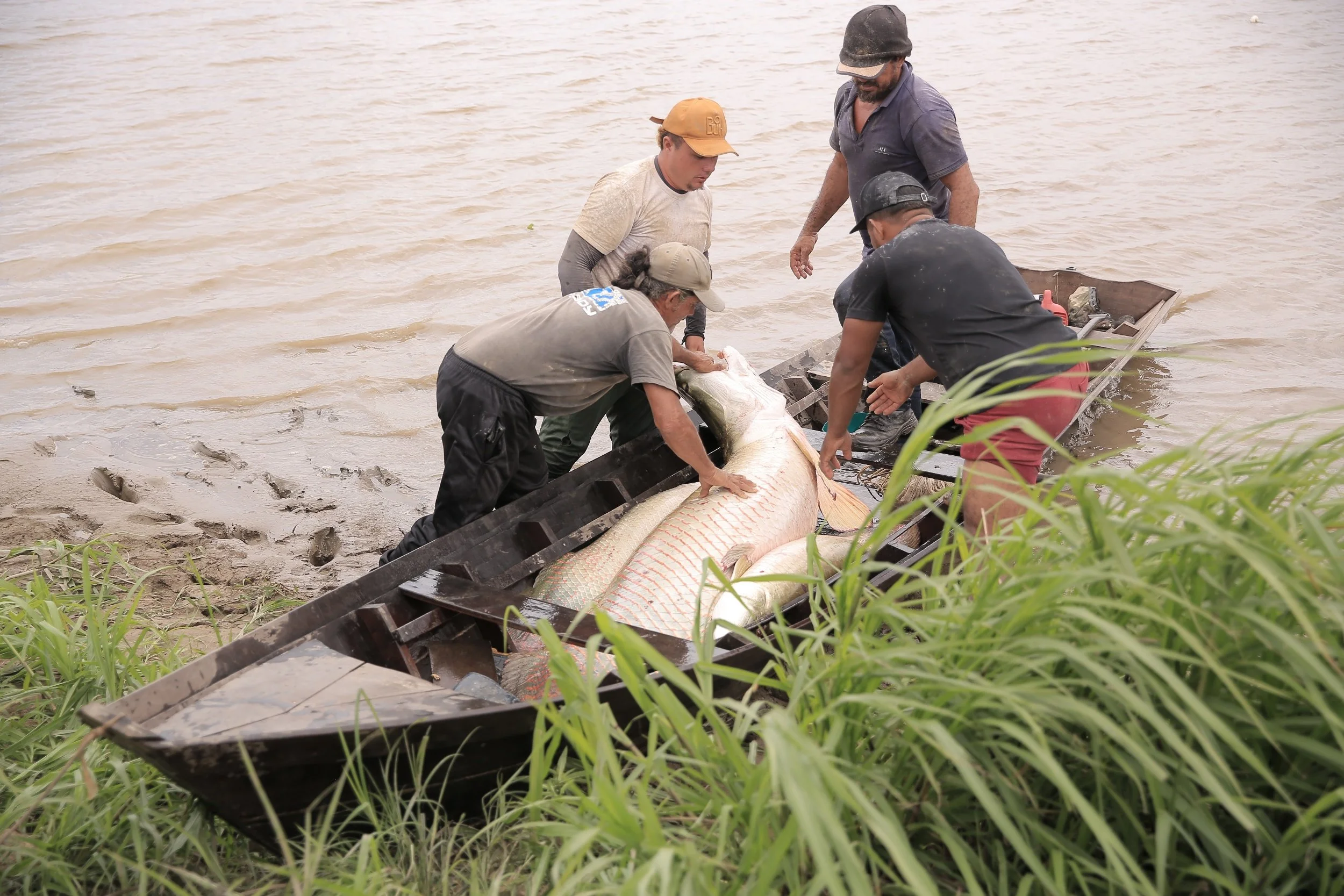 Edital para consultoria técnica para o acompanhamento e monitoramento das atividades relacionadas ao Projeto Povos, Rios e Florestas