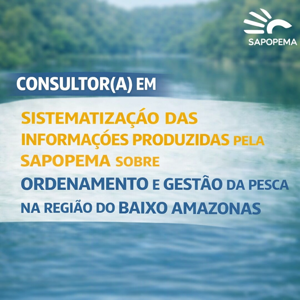 Edital para contratação de serviços para sistematização das informações produzidas pela Sapopema sobre ordenamento e gestão da pesca na região do Baixo Amazonas