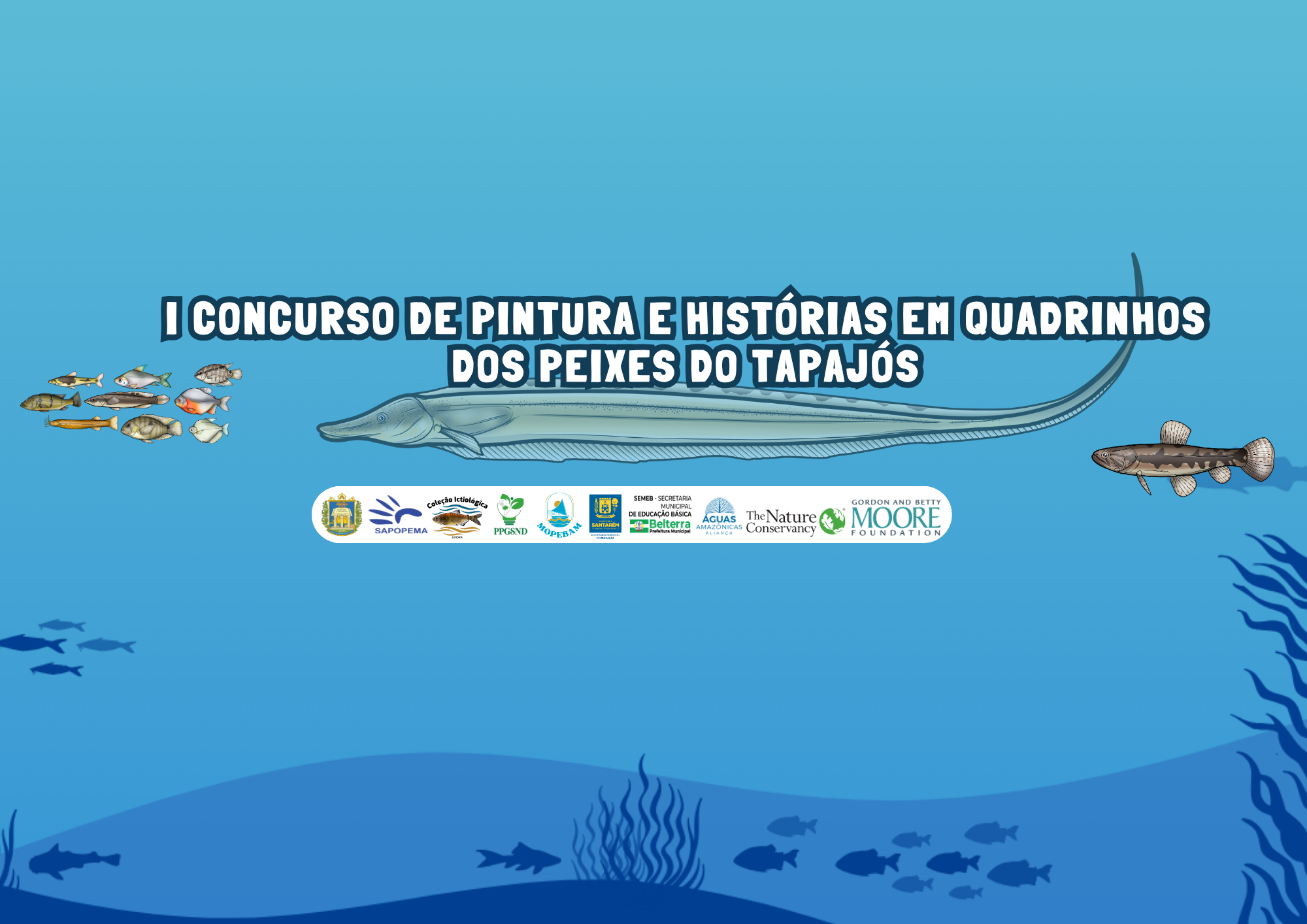 Inscrições abertas para o I concurso de pintura e histórias em quadrinhos dos Peixes do Tapajós. Edital;