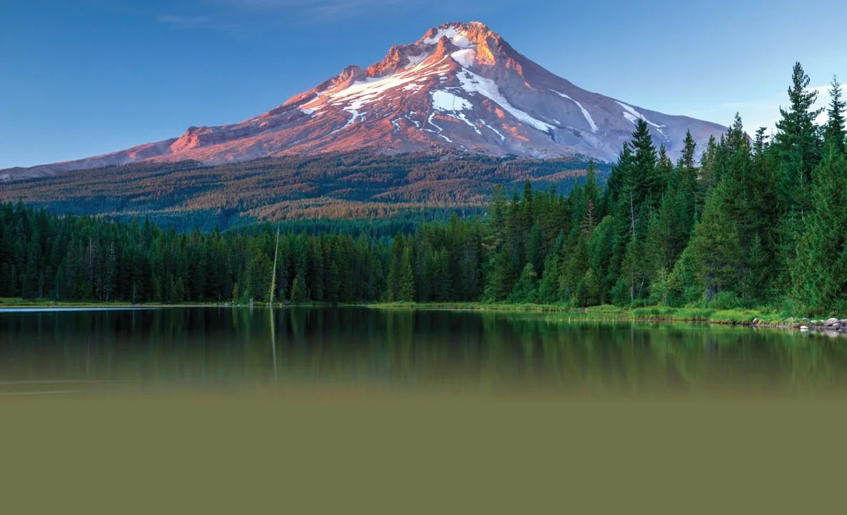 2022 Background image.jpg