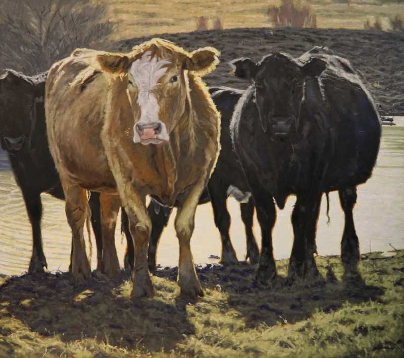 Blondie - 40"x45" oil on canvas