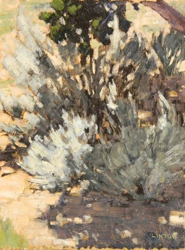 Under the Juniper, oil - 12"x9"