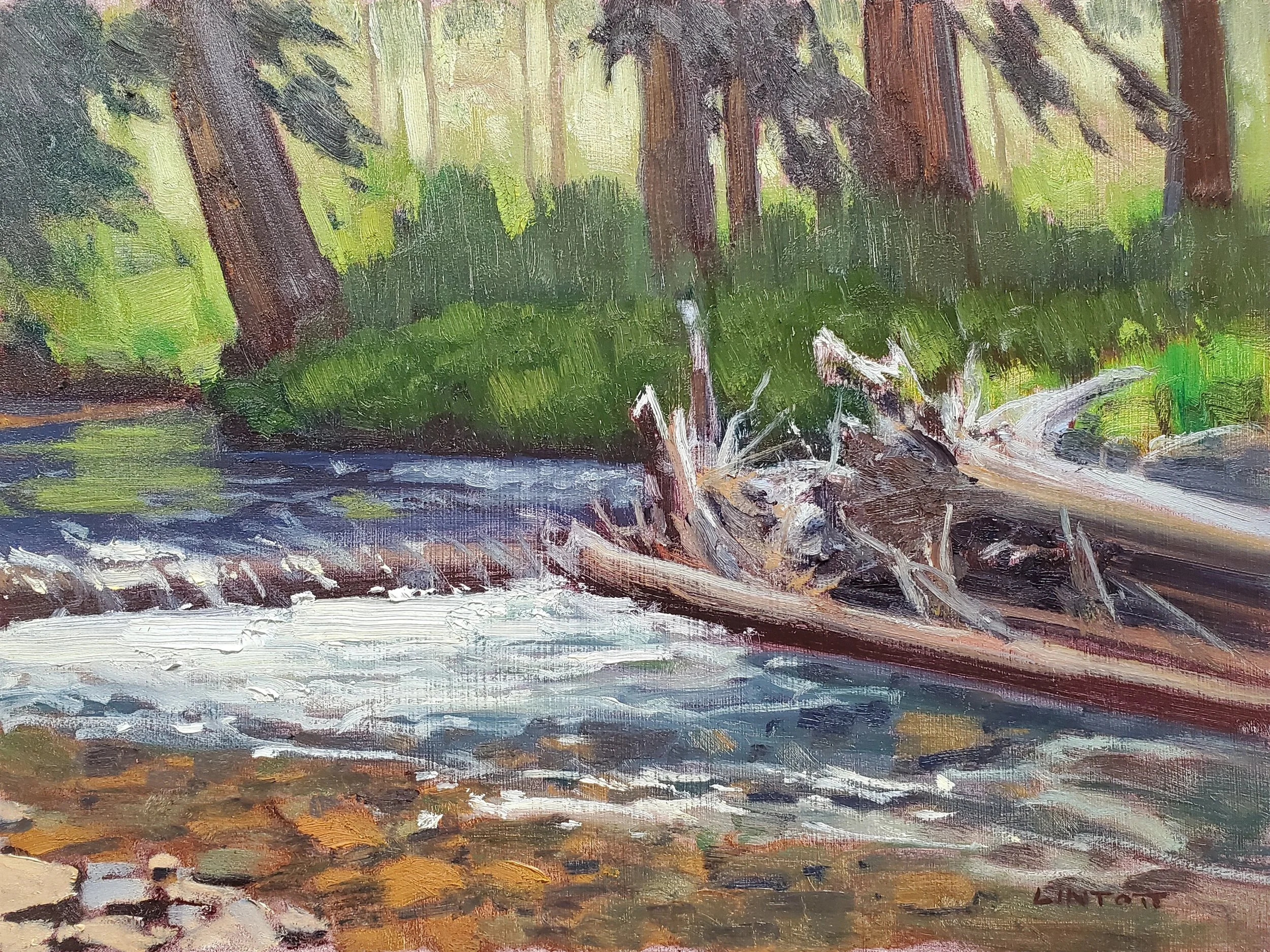 Brush Creek - Oil, 9"X12"