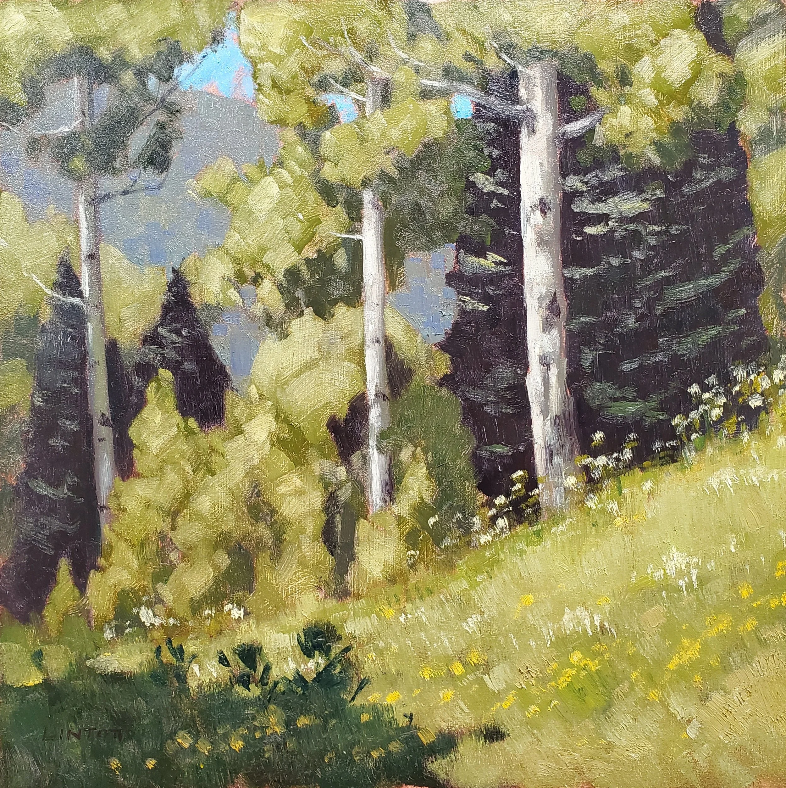 Kebler Aspen Hill - Oil, 12"X12"