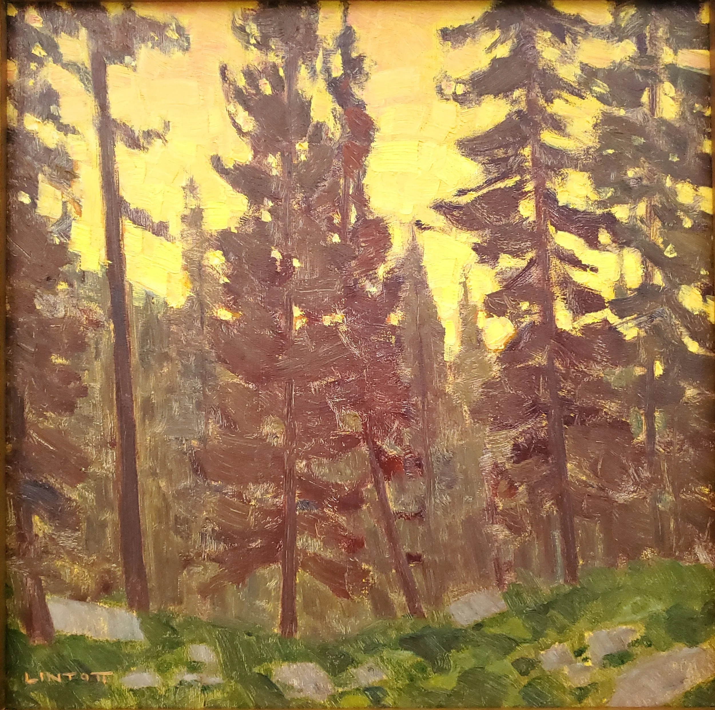 Camp Light - Oil, 12"X12"