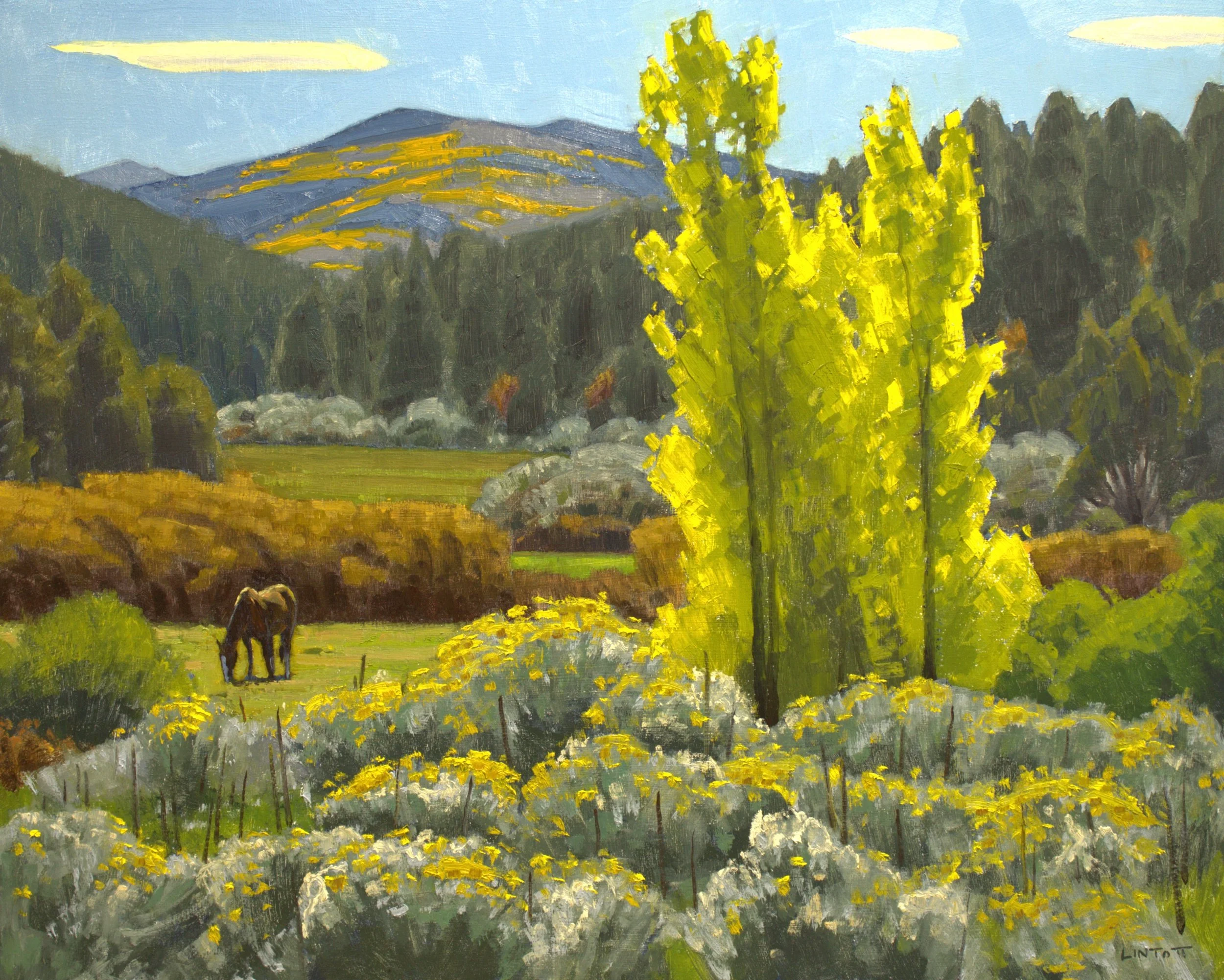 Truchas Colors - Oil on panel, 16" x 20"