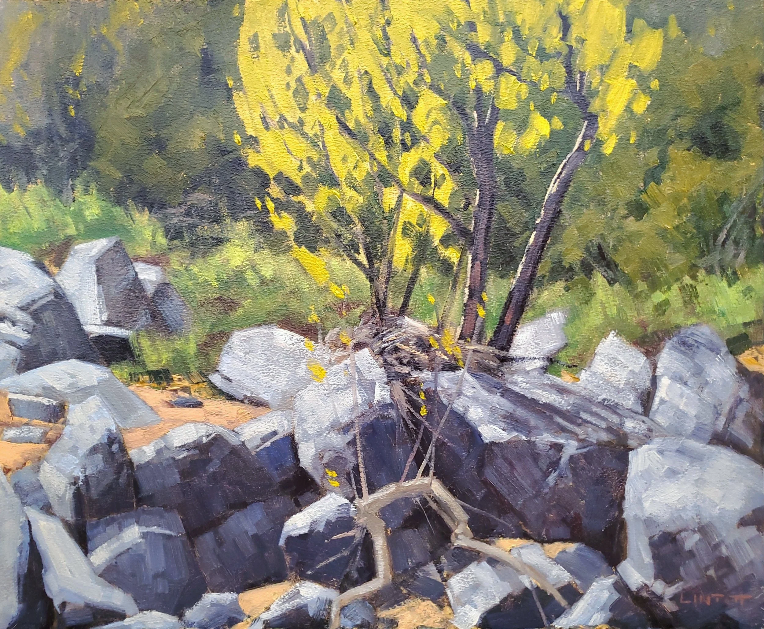 Spring Arrives - Oil, 10"X12"