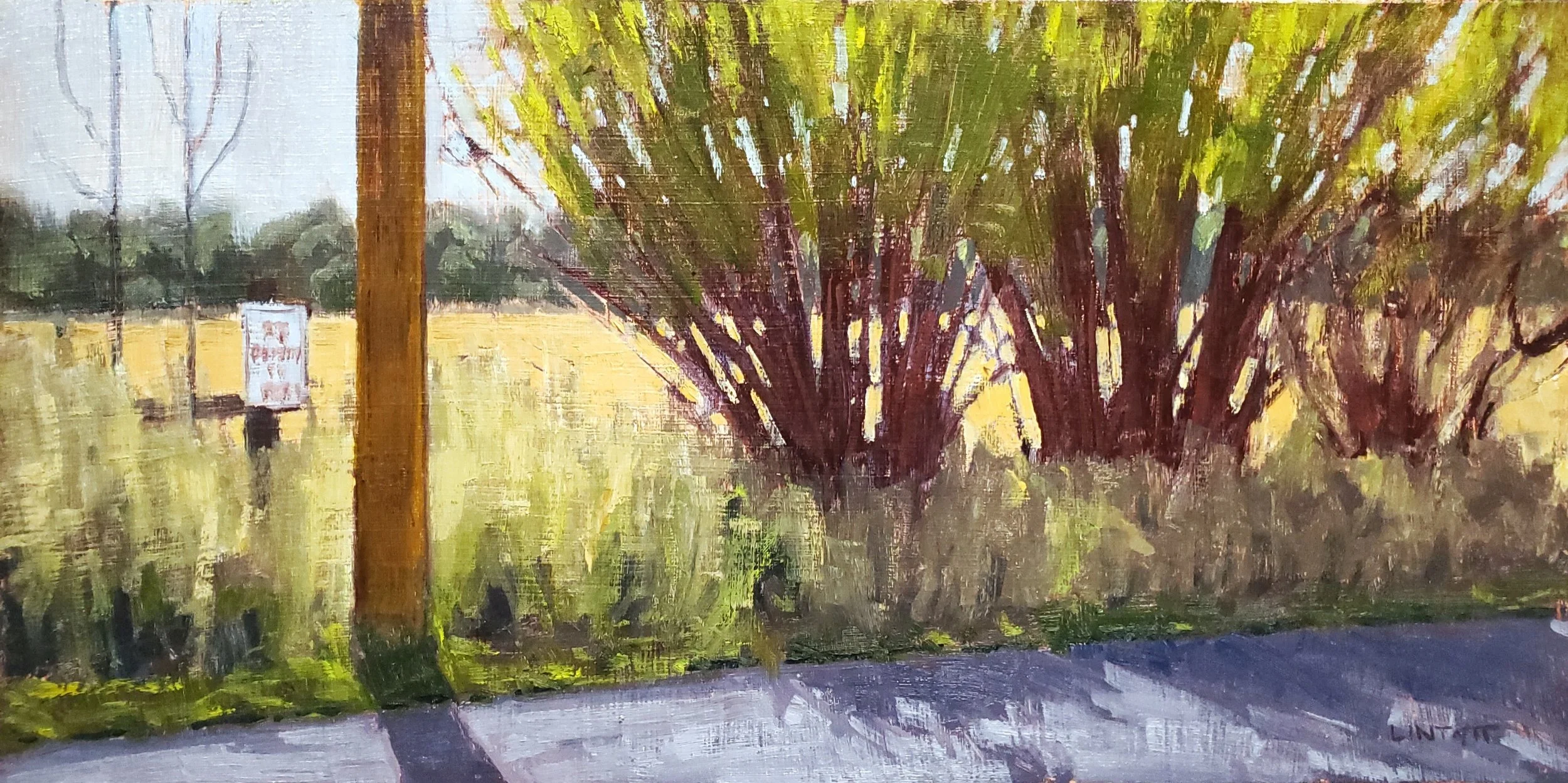 No Parking Any Time - Oil, 8" x 16"