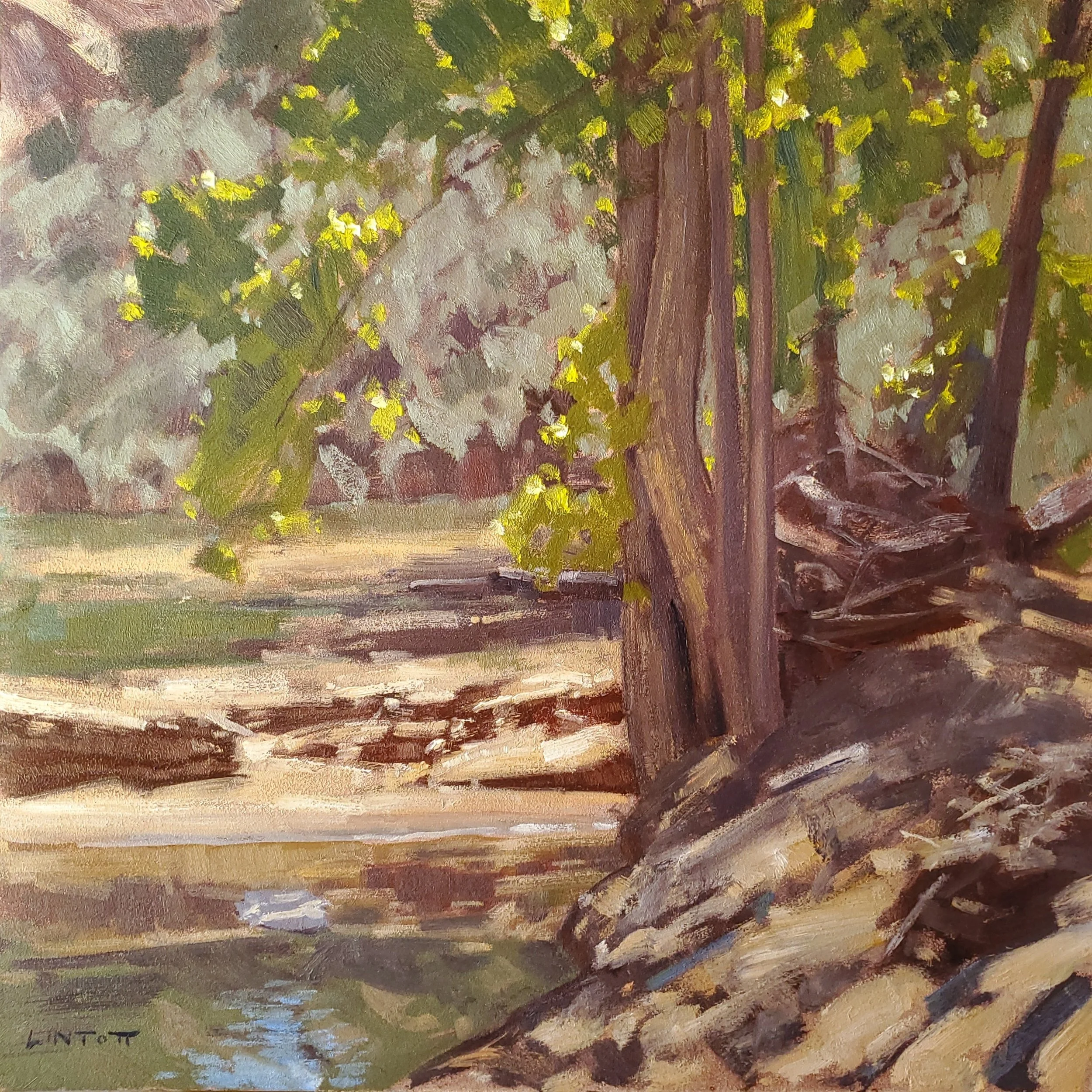 Virgin Shade - Oil on panel, 12" x 12"