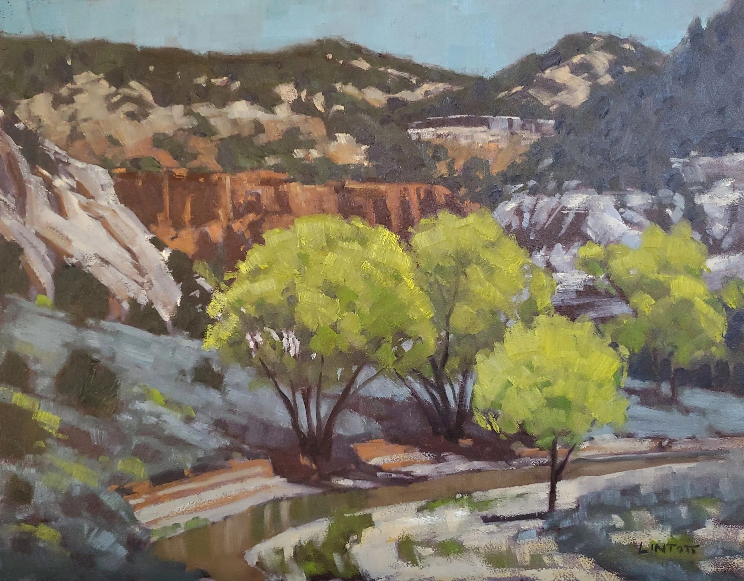 Spring in Barracks Canyon - Oil on panel - 11"x14"