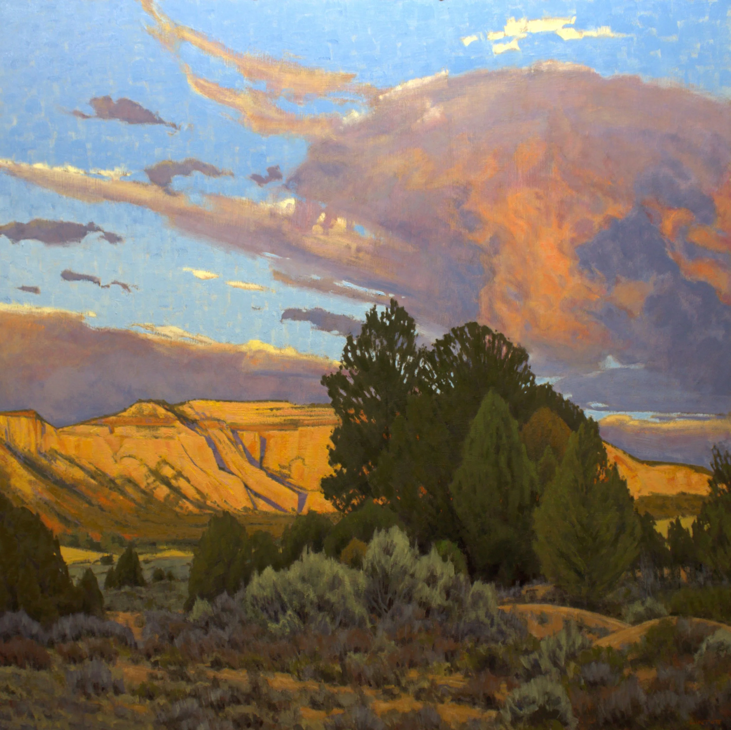 Western Gold 36x36 (1)-01.jpeg