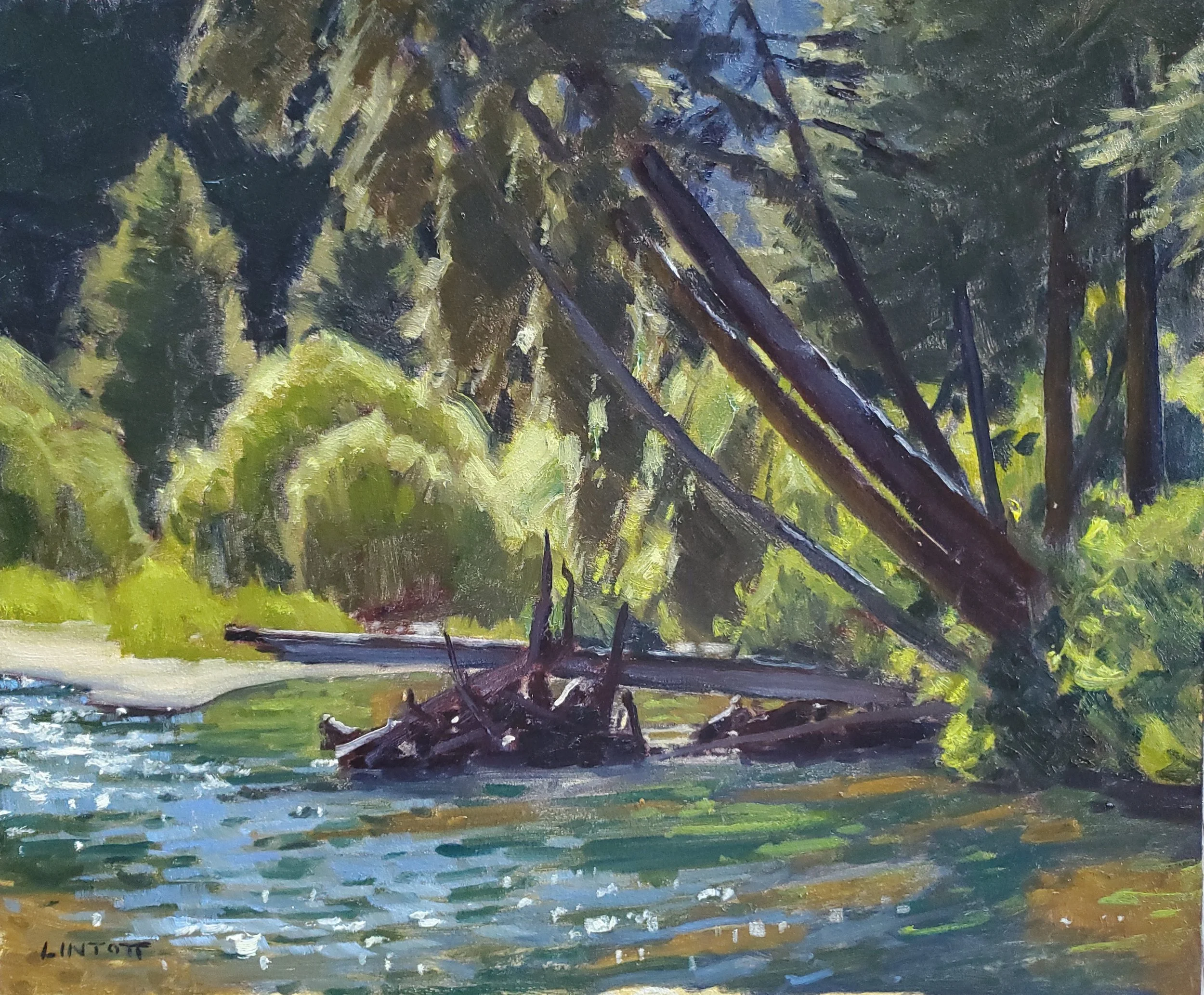 Teton Creek - Oil, 10"x12"