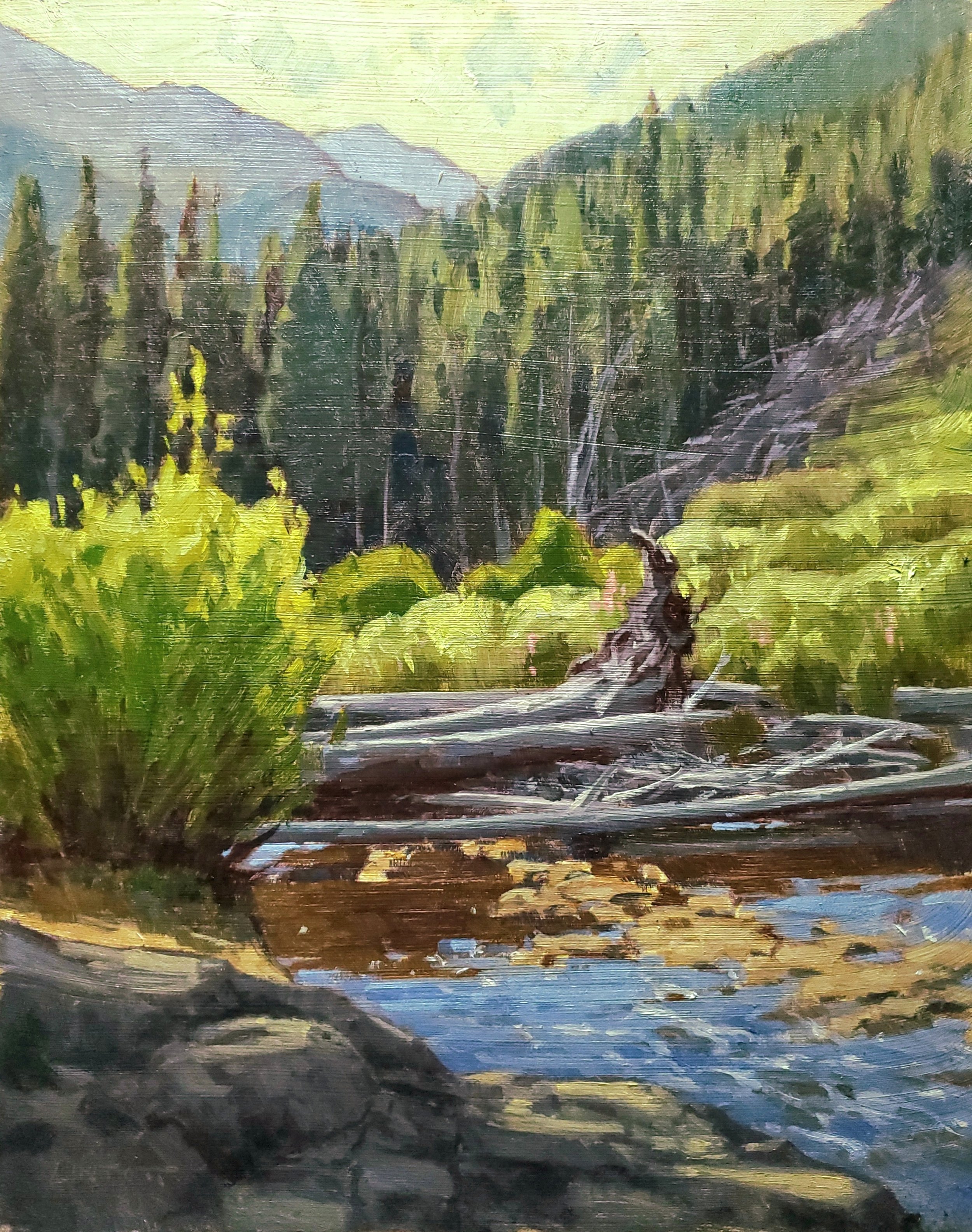 Morning Riffles - Oil, 14"x11"