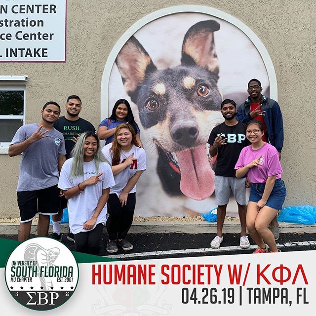 Brothers had a pawfect time making a pawsitive difference in our community with the Diamonds of @usfkappas ! A BIG thank you to the Humane Society for this opportunity to touch the hearts of Tampa's dearest animals! #ΣΒΡ #MuMecca #Service