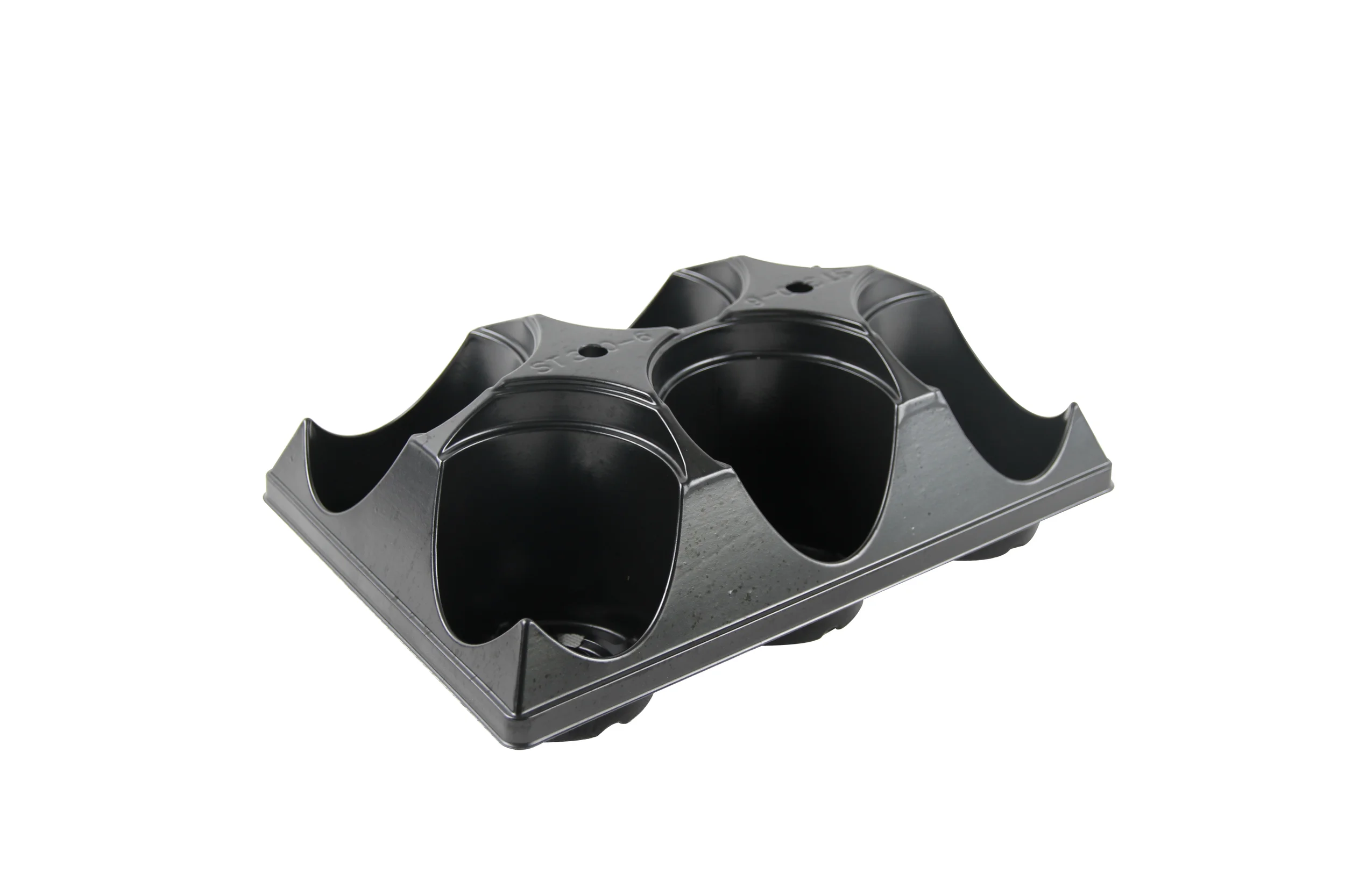 6 Count Tray