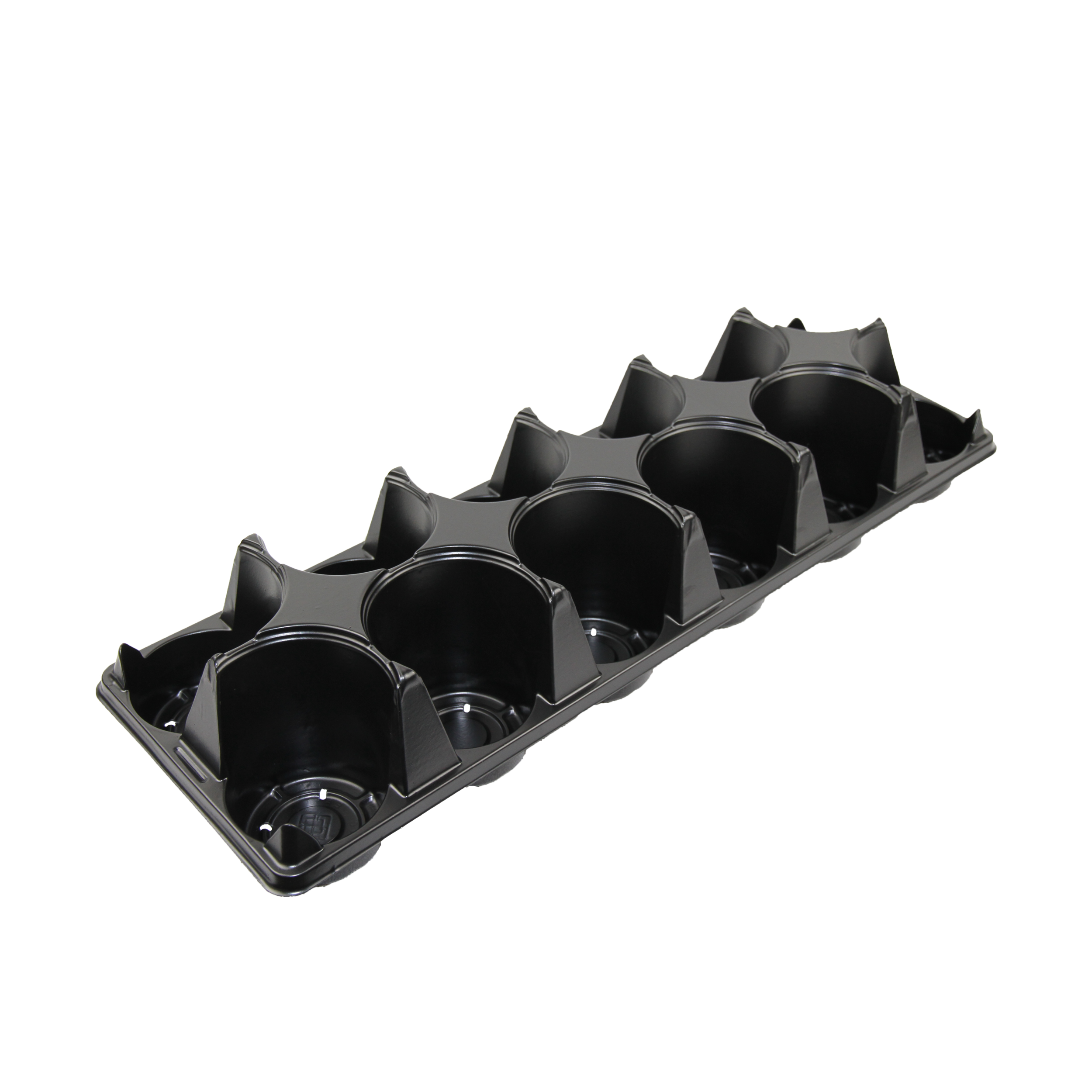 12 Count Tray with Tag Slot