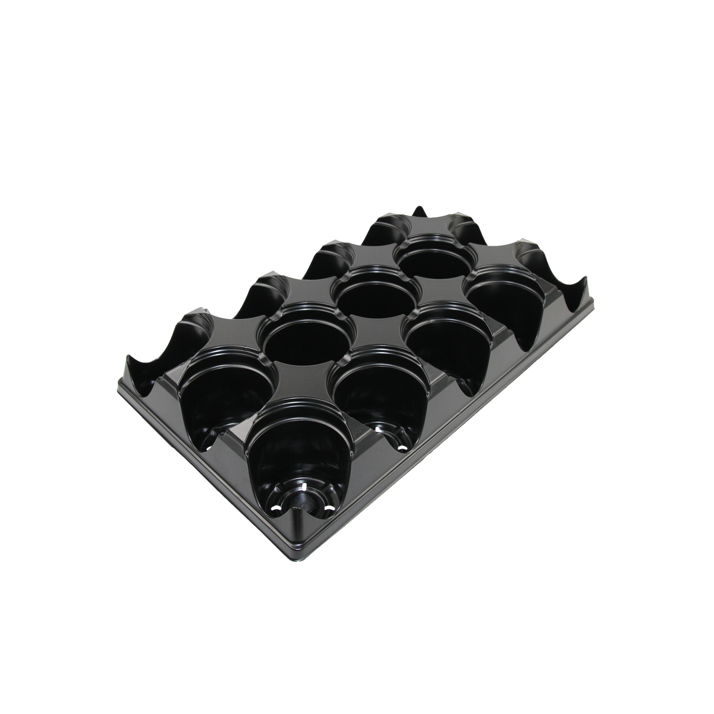 15 Count Tray