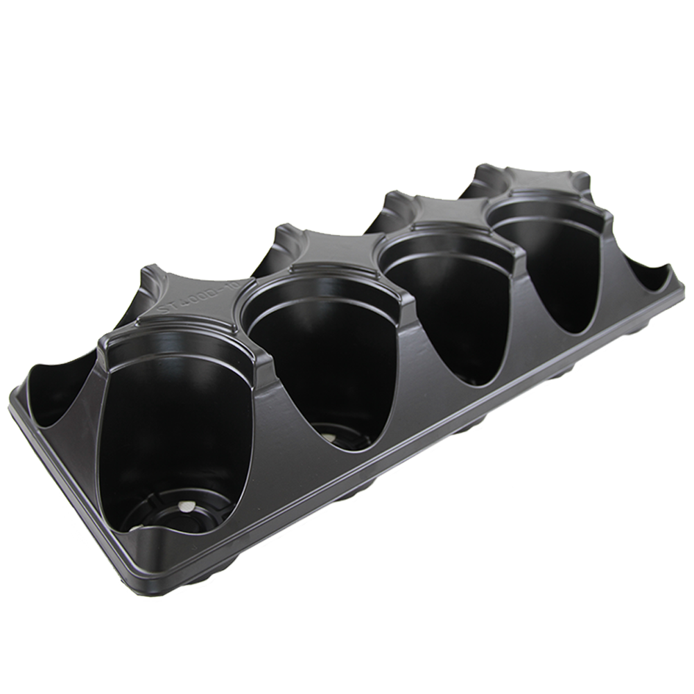 10 Count Tray Deep