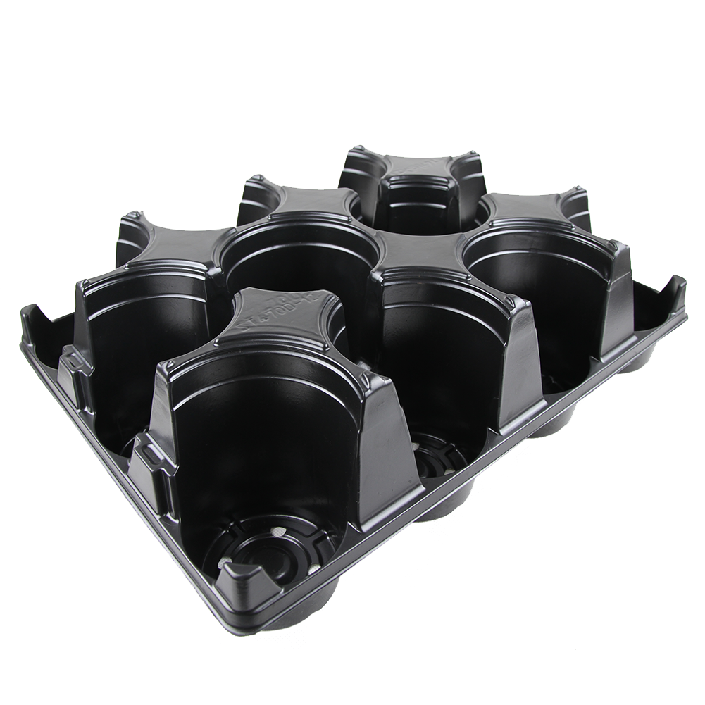 12 Count Tray with Tag Slot