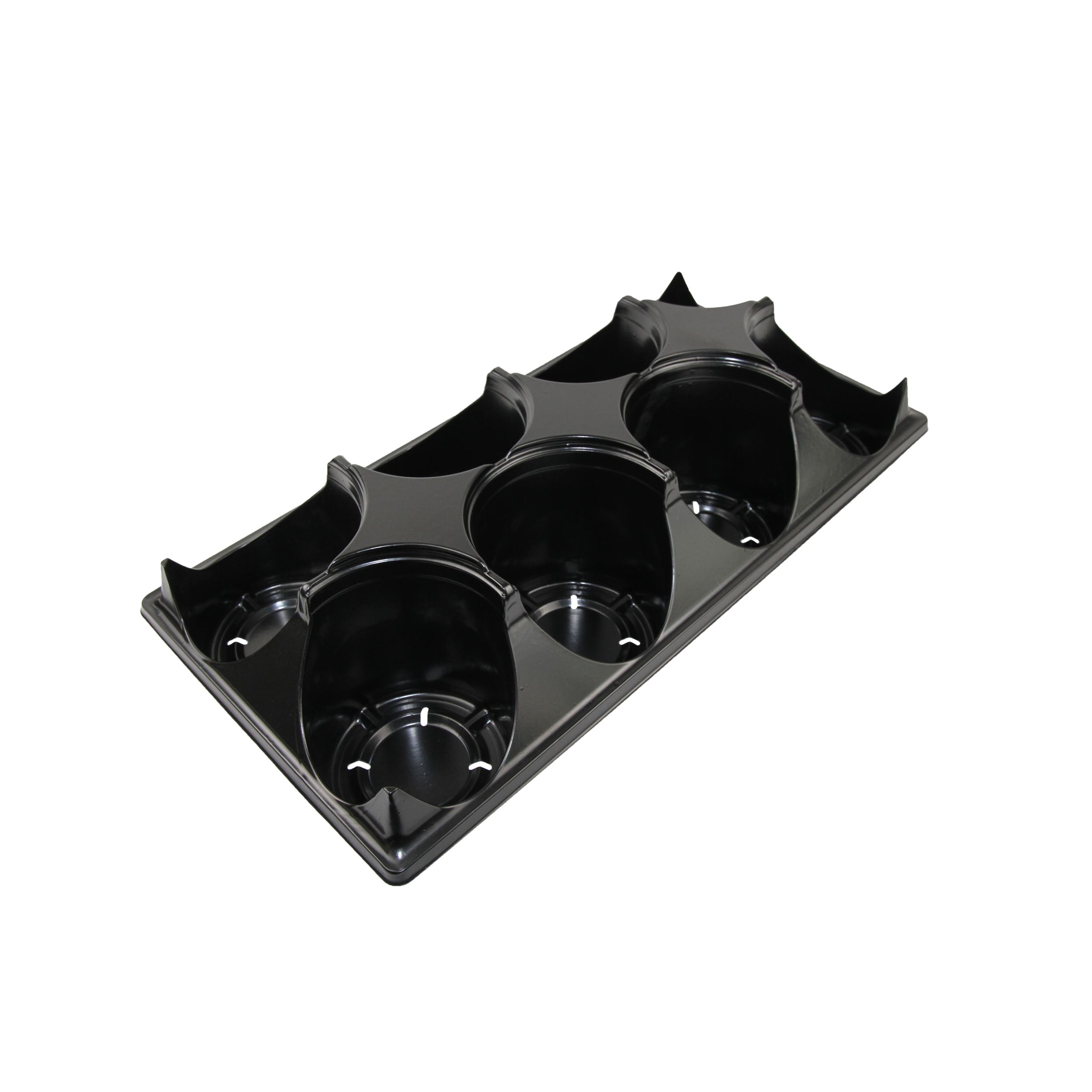 8 Count Tray