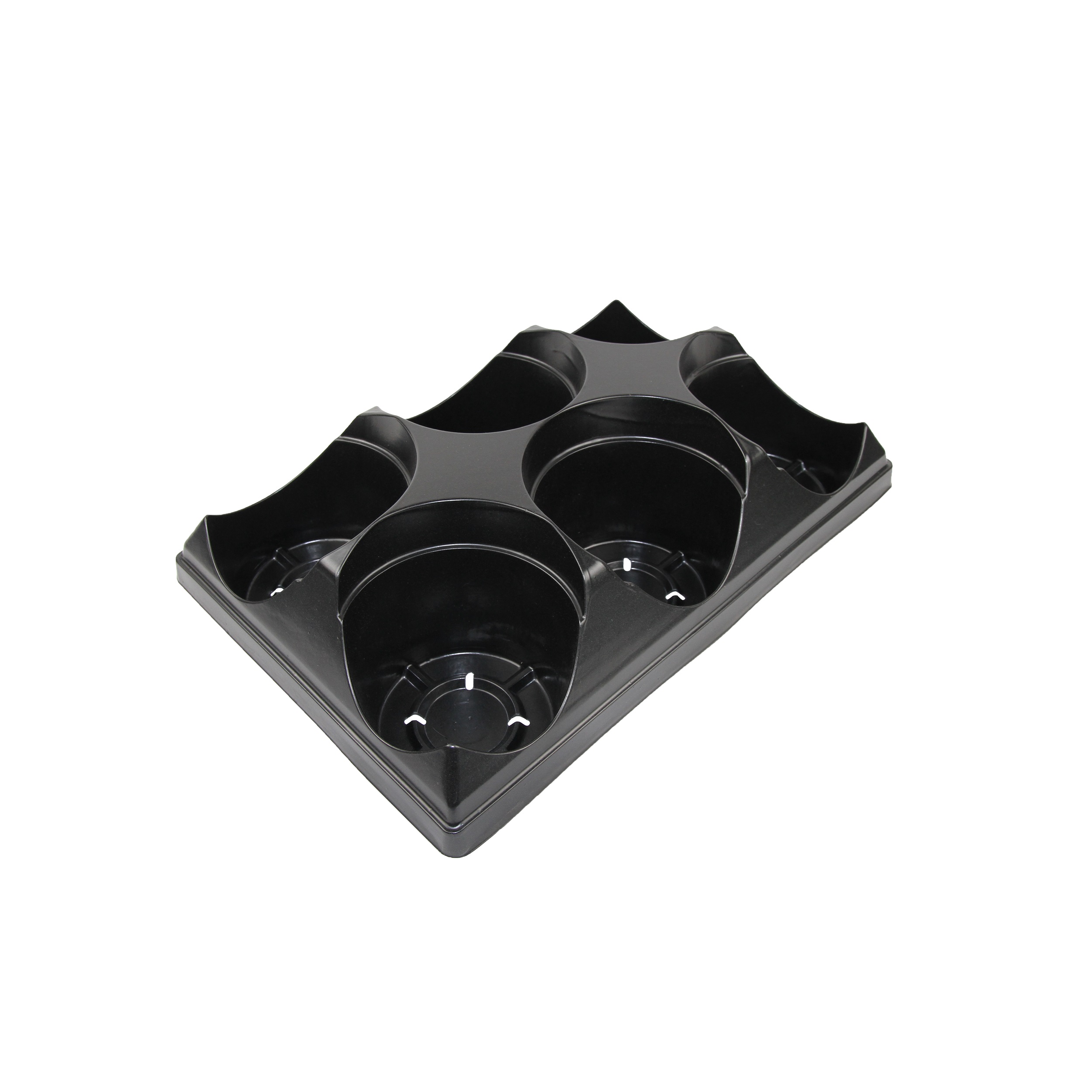 6 Count Tray