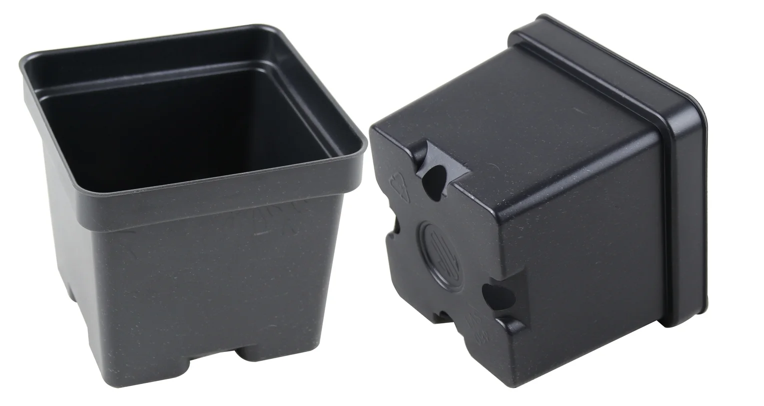 4.5" Square Pot