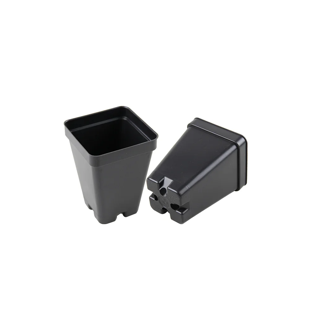 2.5" Square Pot