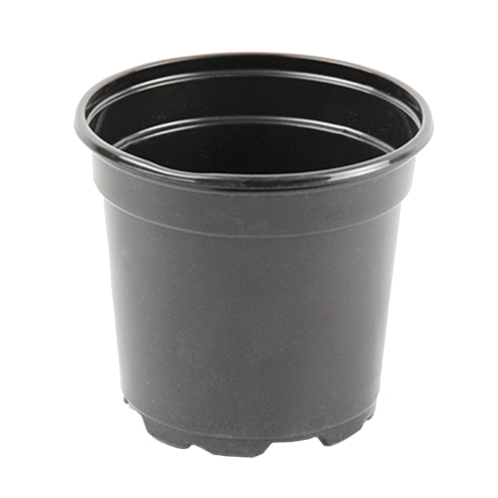 4" Pot