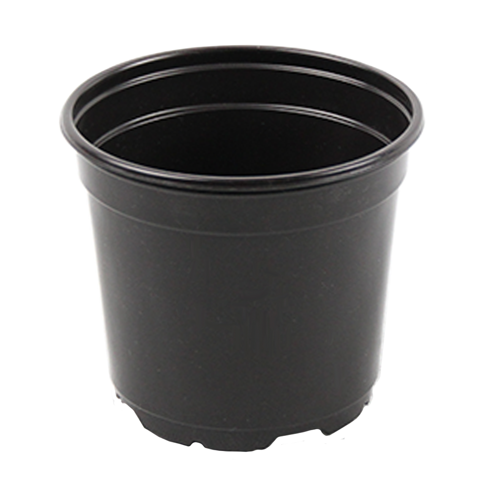 Wide 4.33" Pot
